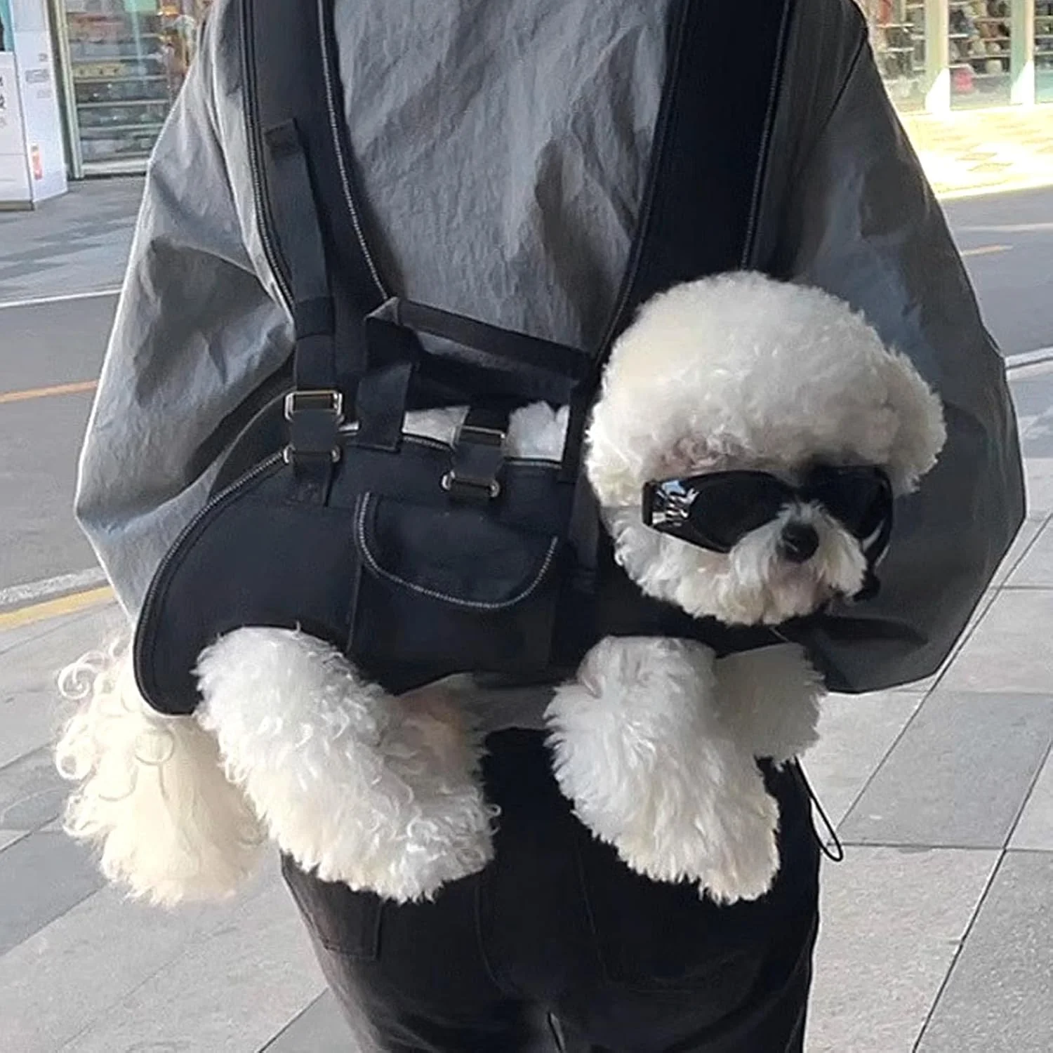 کیف حمل سگ تمام بدن، کوله پشتی چند منظوره و تنفسی برای سگ و گربه های کوچک و متوسط، طراحی شیک، کیف حمل دستی و روی شانه، فضای حرکتی راحت و آسان کیف حمل سگ تمام بدن، کوله پشتی چند منظوره و تنفسی برای سگ و گربه های کوچک و متوسط، طراحی شیک، کیف حمل دستی و روی شانه، فضای حرکتی راحت و آسان