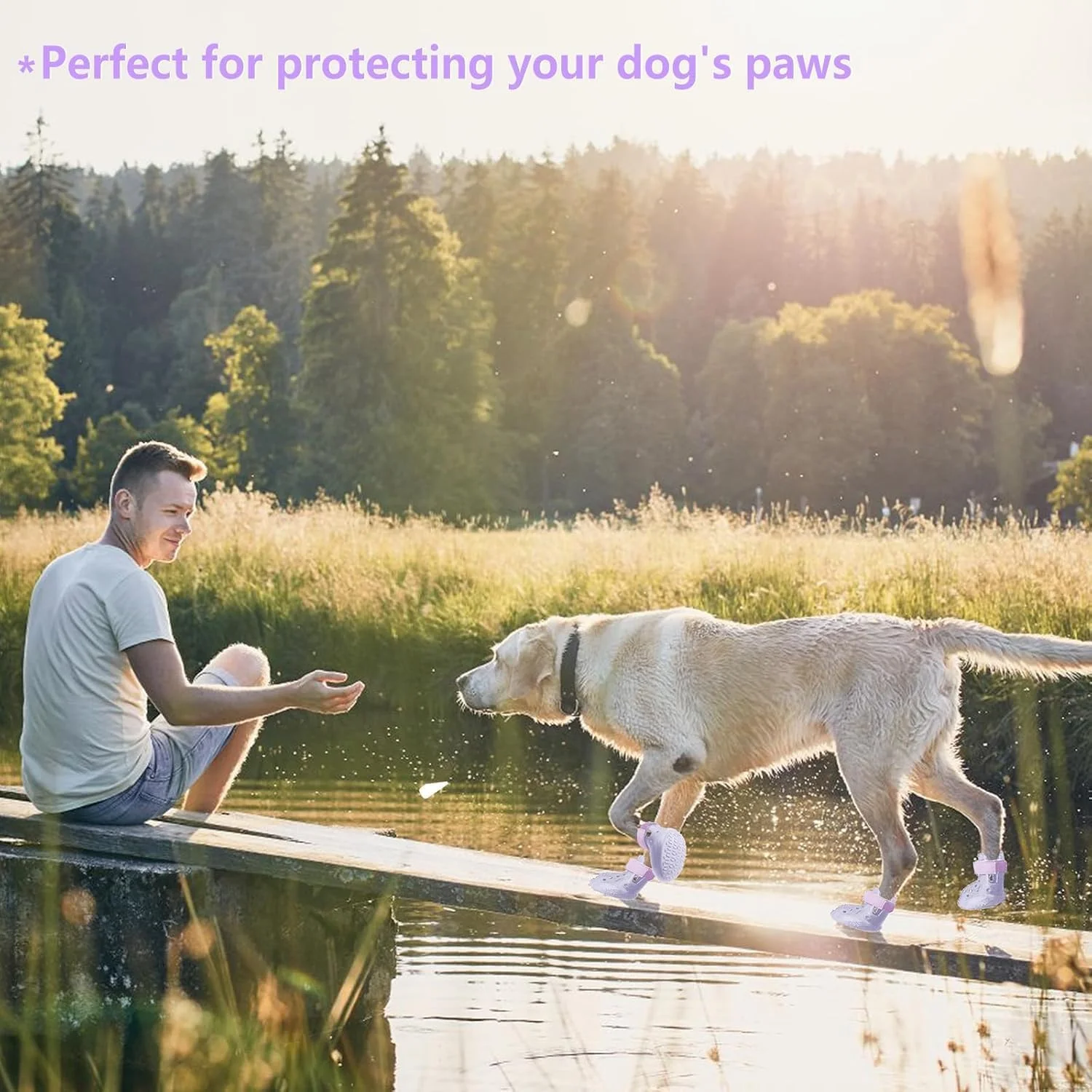 صندل توری تنفسی سگ خانگی مناسب فضای باز، کفش ورزشی تدی، کفش مخصوص سگ، مقاوم در برابر آب، ضد لغزش، محافظت از پنجه در تمام فصول