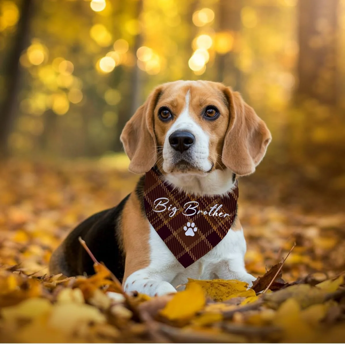 دستمال گردن سگ طرح برادر بزرگ، شال تزئینی چهارخانه راه راه قهوه ای، دستمال گردن مثلثی راحت و قابل تنظیم سگ، دستمال گردن فانتزی توله سگ زیبا برای سگ های کوچک و متوسط ​​پسر و دختر