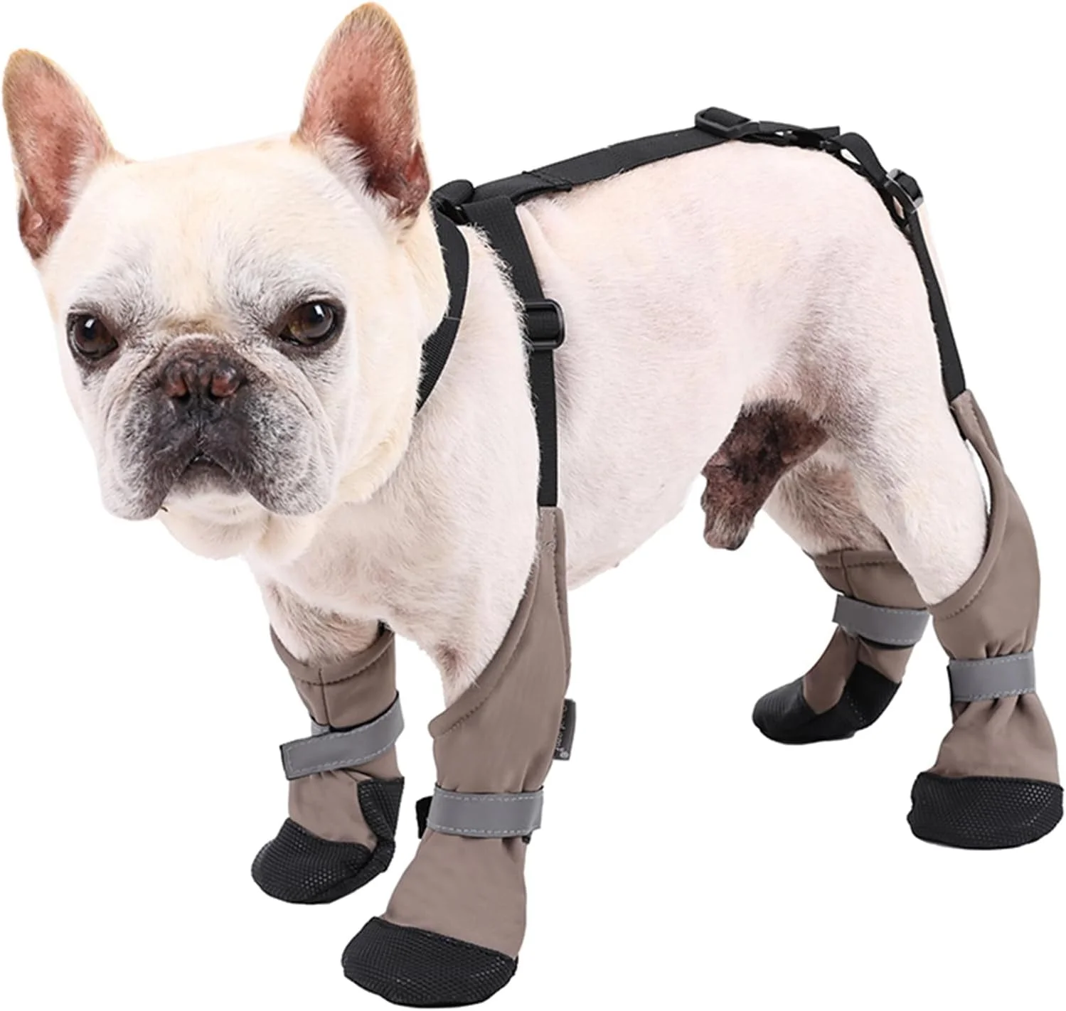 کفش سگ BT Bear، ضد آب، ضد کثیفی، ضد لغزش، گرم، شلوار چهار پا برای سگ ها، محافظ پنجه سگ برای سگ های کوچک و متوسط، چکمه پیاده روی در فضای باز، سایز S