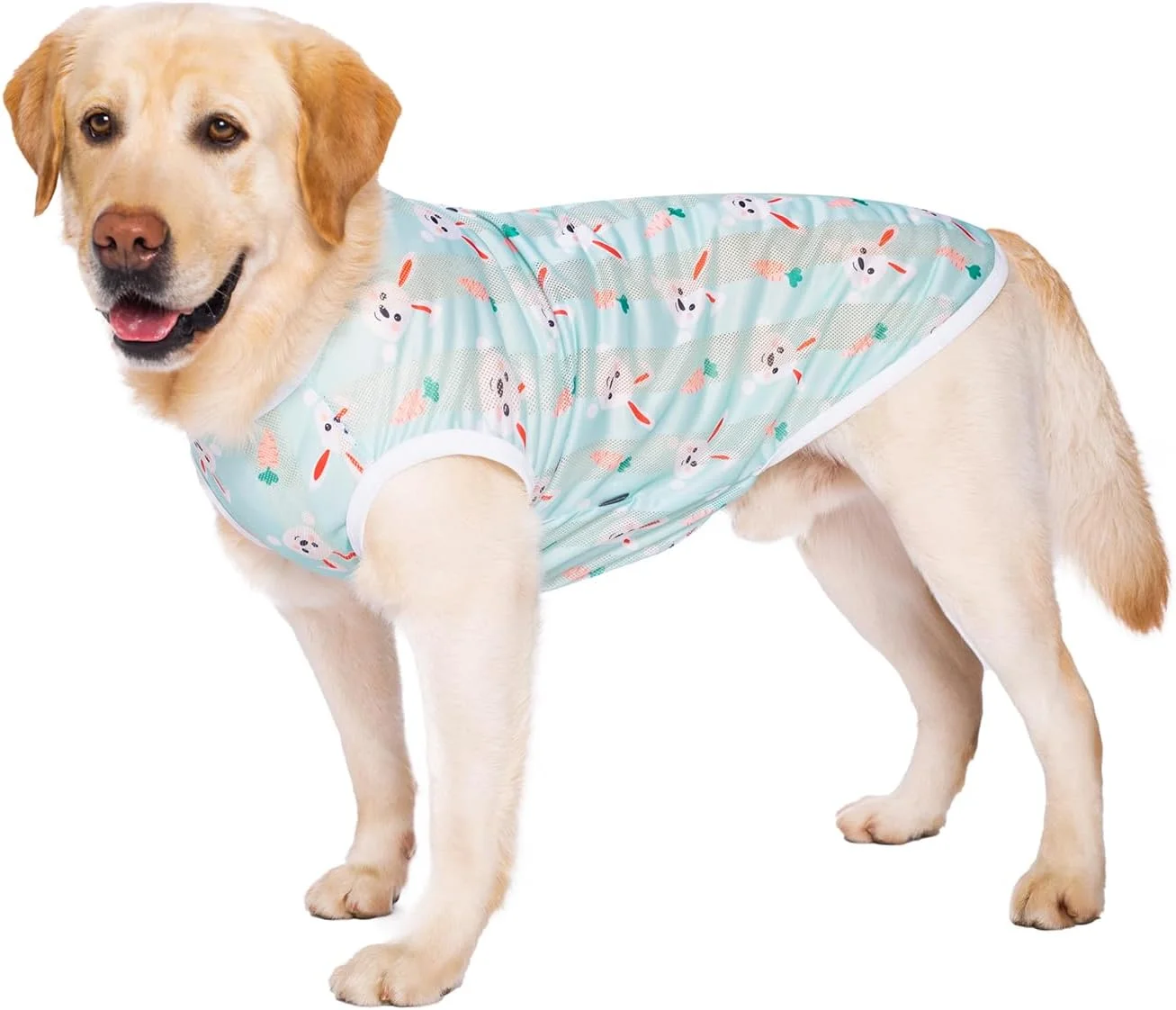 پیراهن خنک کننده سگ، خشک شدن سریع، محافظت در برابر آفتاب، تیشرت خنک کننده سگ، جلیقه خنک مشبک تنفسی برای سگ های بزرگ، سبز روشن 7XL