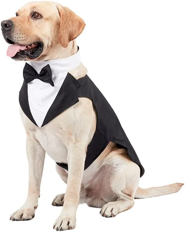 ست تاکسیدو سگ، پیراهن رسمی سگ با پاپیون جداشدنی مناسب سگ های سایز متوسط و بزرگ برای مهمانی، جشن تولد و فستیوال (مشکی، L)