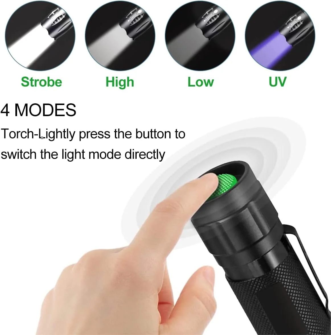 چراغ قوه تاکتیکی 2 در 1 UV+LED T Tersely، بسته 2 عددی، چراغ قوه UV با 4 حالت، چراغ قوه 395 نانومتری LED نور سیاه و نور سفید، چراغ قوه LED با لومن بالا برای کمپینگ، قطع برق و مواقع اضطراری چراغ قوه تاکتیکی 2 در 1 UV+LED T Tersely، بسته 2 عددی، چراغ قوه UV با 4 حالت، چراغ قوه 395 نانومتری LED نور سیاه و نور سفید، چراغ قوه LED با لومن بالا برای کمپینگ، قطع برق و مواقع اضطراری