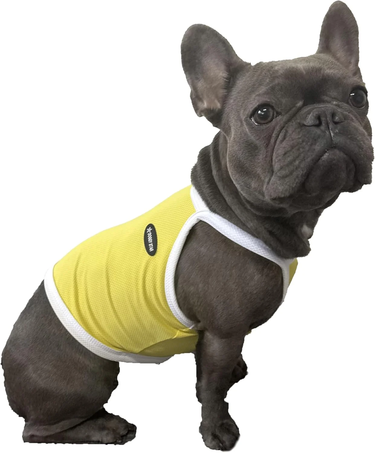 تاپ کشی سگ مدل French Bulldog، خنک کننده (2XL, Camisole Yellow)