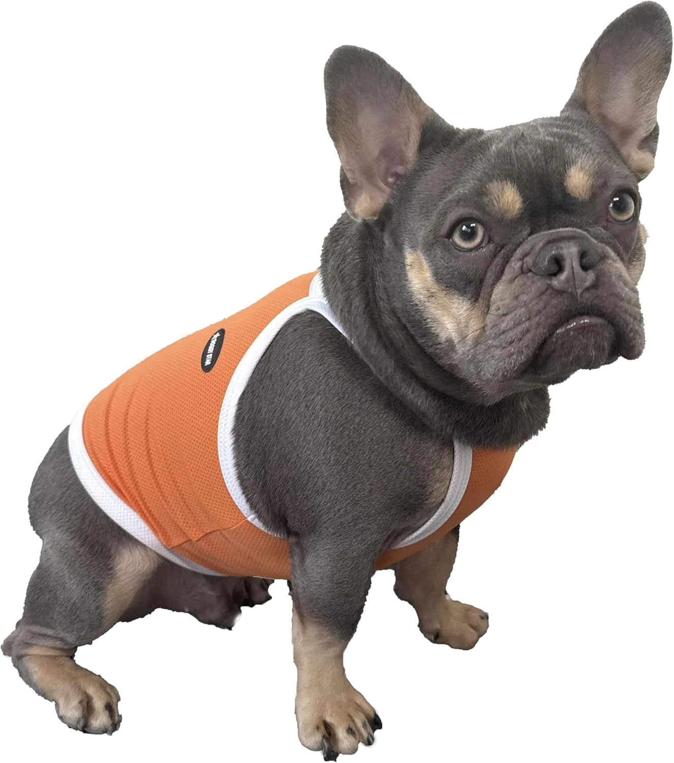 لباس سگ مدل D Doggy Star مناسب بولداگ فرانسوی، تاپ کشی خنک کننده برای سگ ها (4XL، نارنجی)