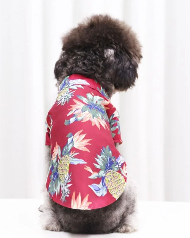 پیراهن تابستانی سگ و گربه با طرح آناناس زرشکی - پیراهن حیوانات خانگی پلی استر تنفسی با طراحی 2 پا، مد ساحلی (پشت 50 سانتی متر، سینه 65 سانتی متر) برای حیوانات خانگی 16 تا 30 کیلوگرم