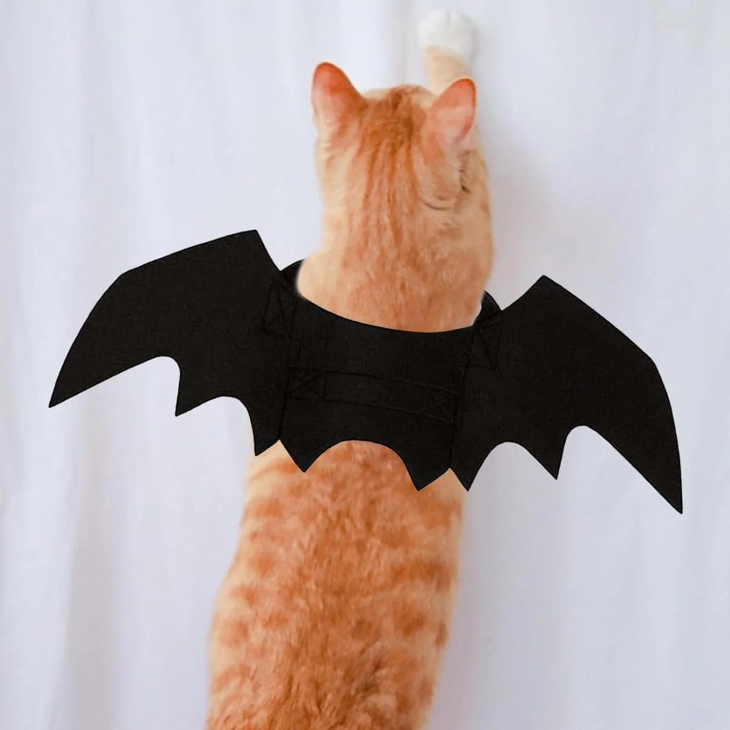 بال های خفاشی نمدی برای گربه - لباس خنده دار و فانتزی برای بچه گربه، توله سگ، جشن ها، رویدادها، تعطیلات و عکاسی