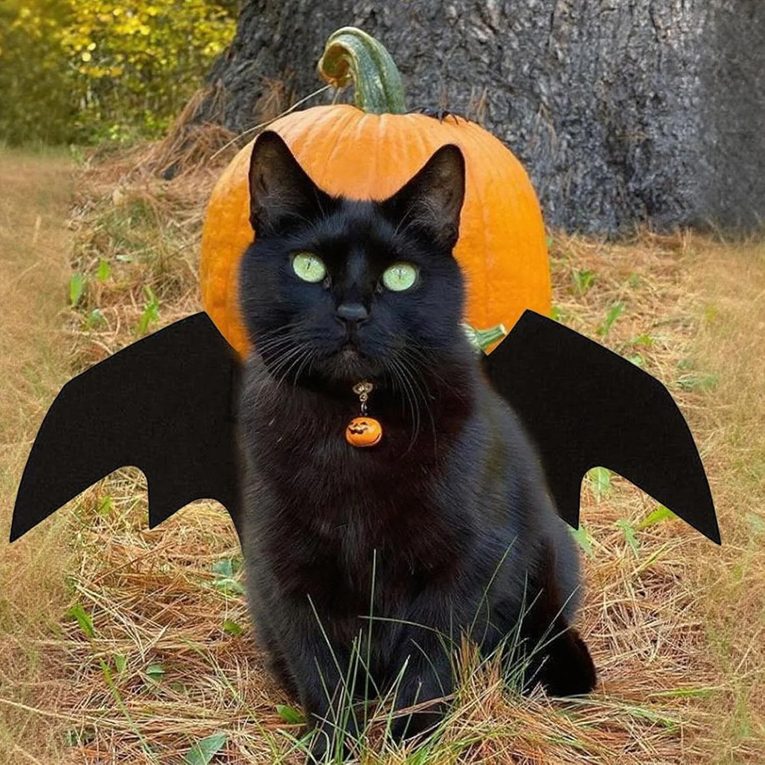 بال های خفاشی نمدی برای گربه - لباس خنده دار و فانتزی برای بچه گربه، توله سگ، جشن ها، رویدادها، تعطیلات و عکاسی