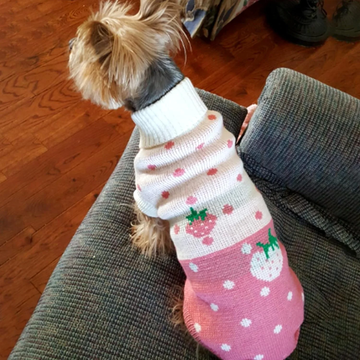 پلیور سگ خانگی CHBORCHICEN، بافتنی کلاسیک یقه اسکی، لباس گرم زمستانی توله سگ، پلیور سگ با طرح توت فرنگی و قلب (صورتی، متوسط) پلیور سگ خانگی CHBORCHICEN، بافتنی کلاسیک یقه اسکی، لباس گرم زمستانی توله سگ، پلیور سگ با طرح توت فرنگی و قلب (صورتی، متوسط)