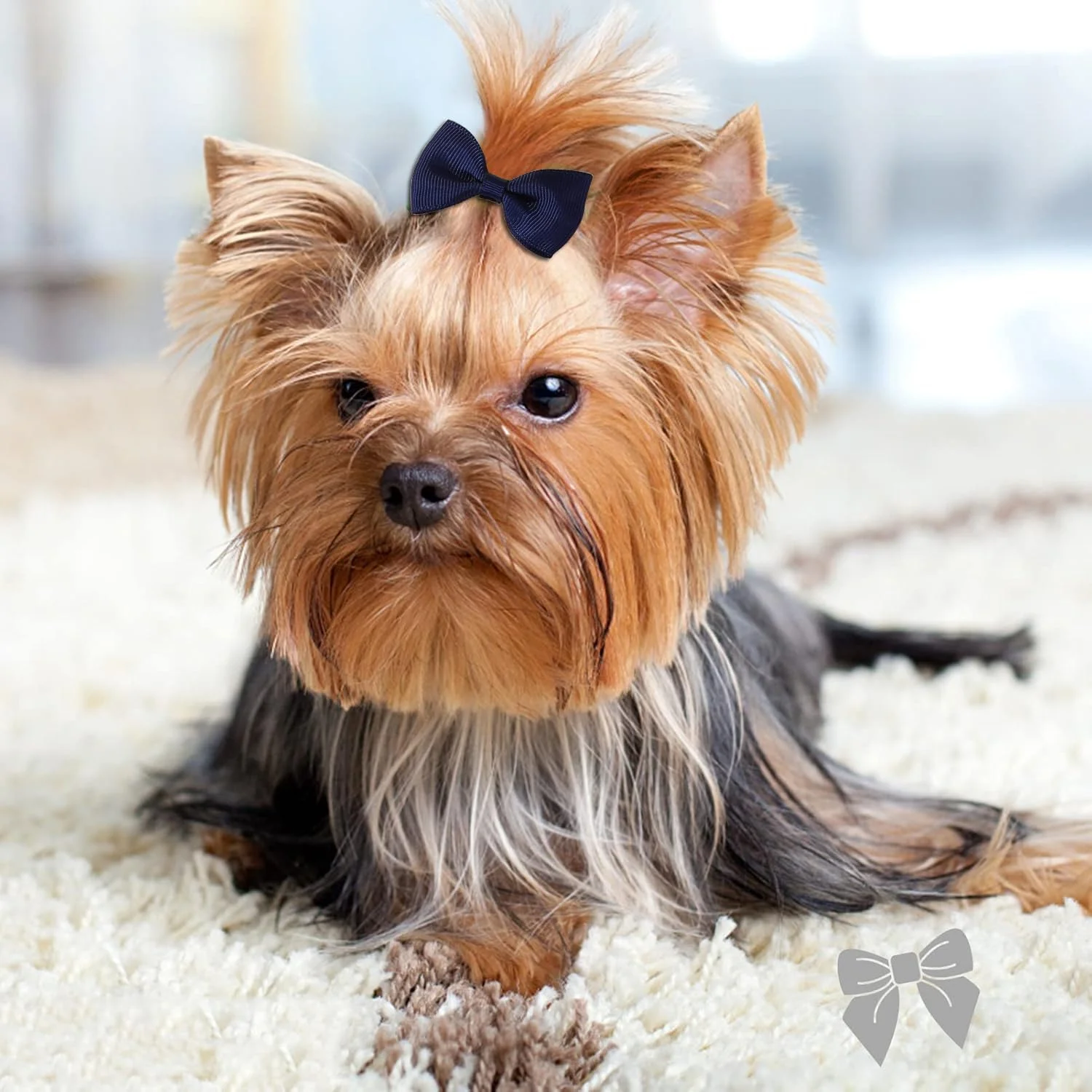 پاپیون و کش مو سگ های کوچک، لوازم جانبی مو حیوانات خانگی، پاپیون های کوچک و زیبای مو (60 عدد، مدل A)