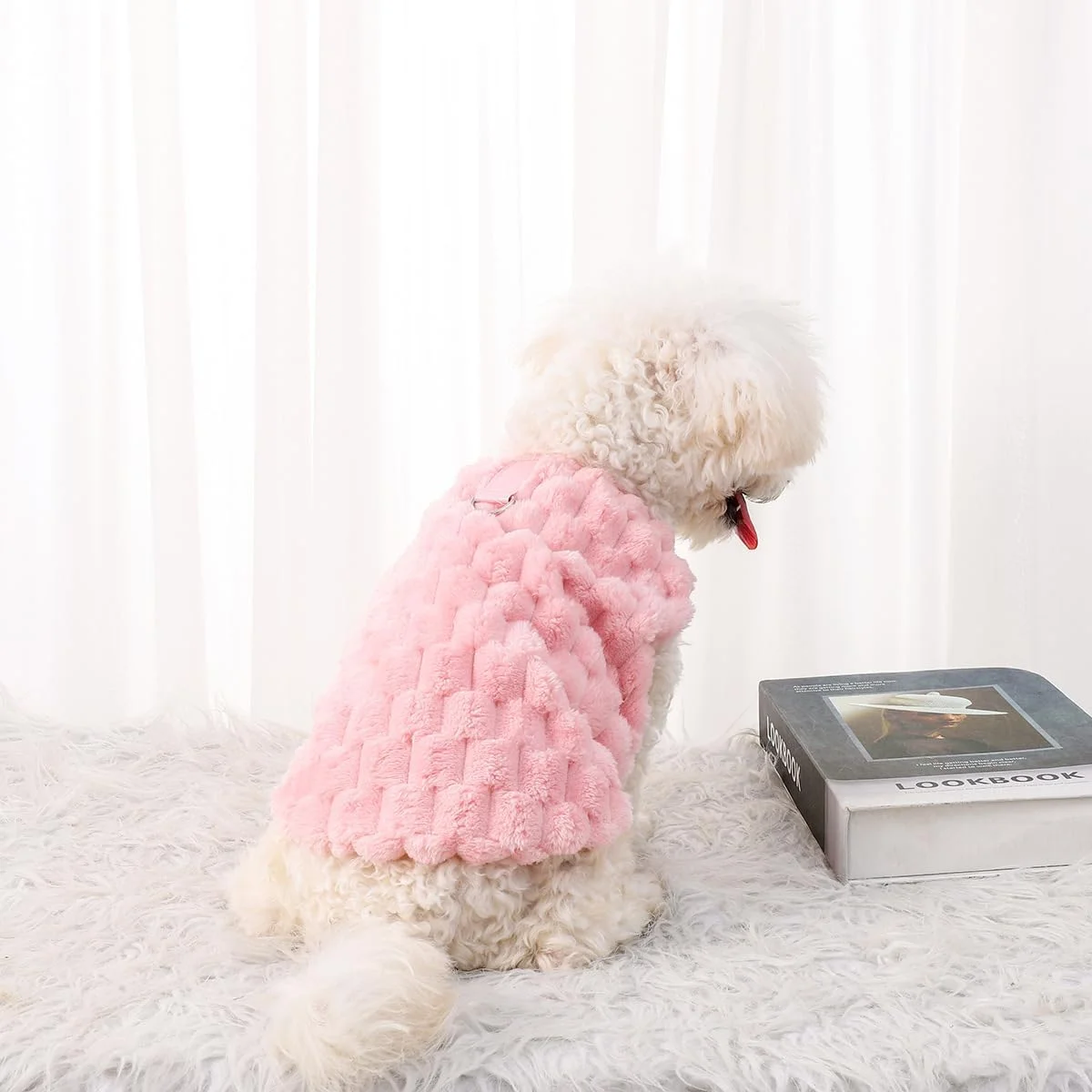 لباس حیوانات خانگی پاییز و زمستان رنگ ثابت طرح دار دو پا تدی سگ پشمی