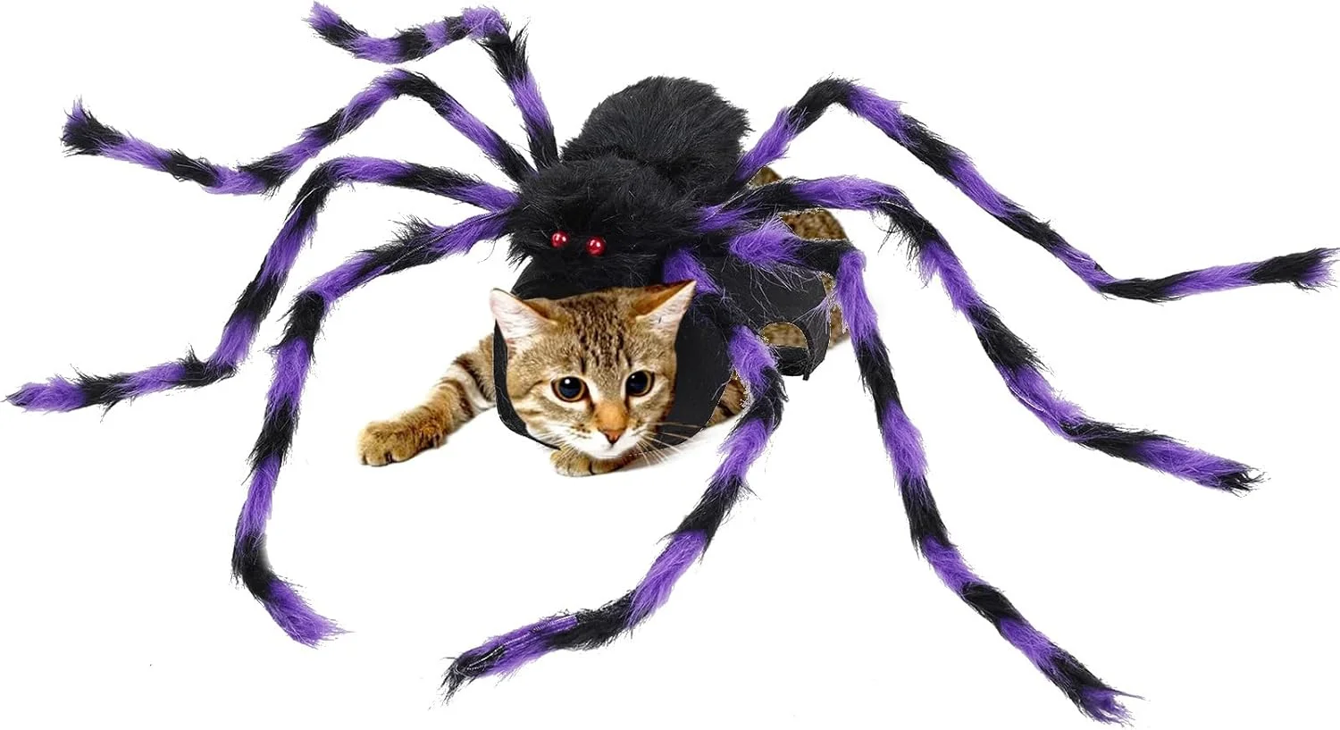 لباس سگ عنکبوتی، لباس مخمل عنکبوتی | لباس مبدل قابل تنظیم برای سگ و گربه، تزئینات جشنواره، لوازم جانبی حیوانات خانگی