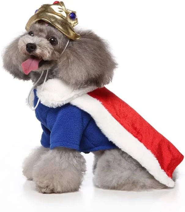 لباس سگ، لباس خنده دار سگ، لباس های سگ با طرح کریسمس، لباس مهمانی حیوانات خانگی (A37, XL)