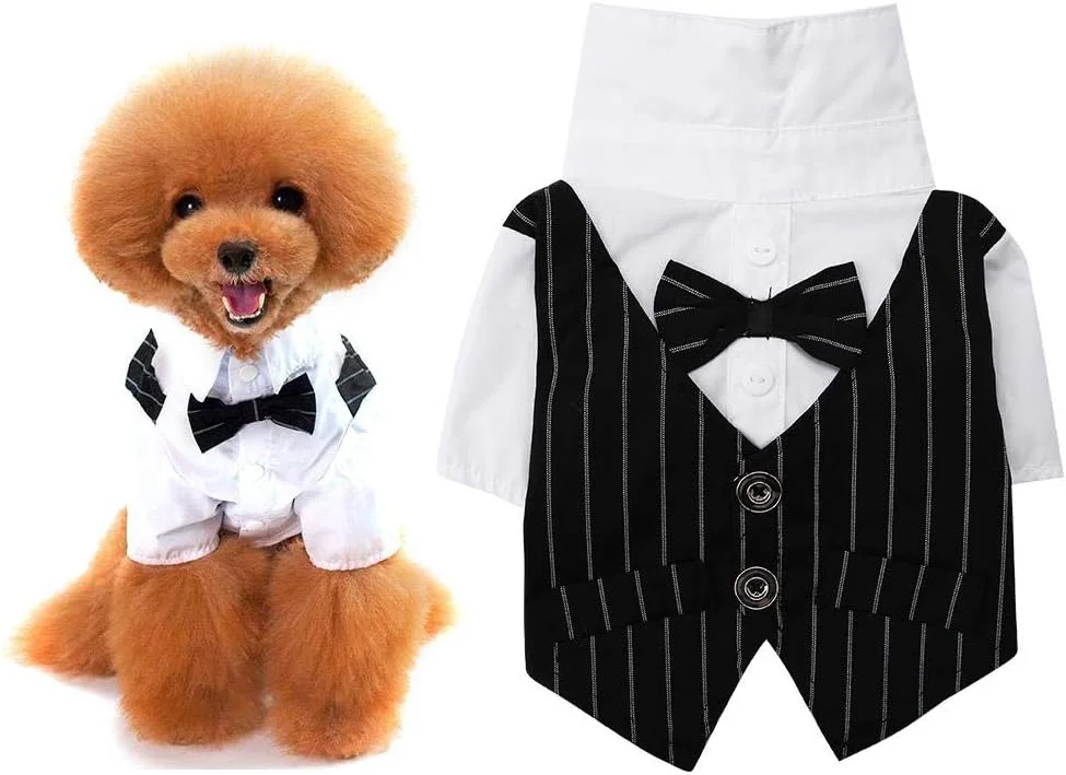 لباس سگ توله سگ، پارچه راه راه خنده دار، کت و شلوار تجاری مد سگ خانگی، لباس تدی برای مهمانی با تم عروسی (M)