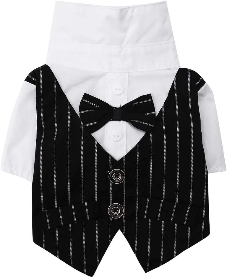 لباس سگ توله سگ، پارچه راه راه خنده دار، کت و شلوار تجاری مد سگ خانگی، لباس تدی برای مهمانی با تم عروسی (M)