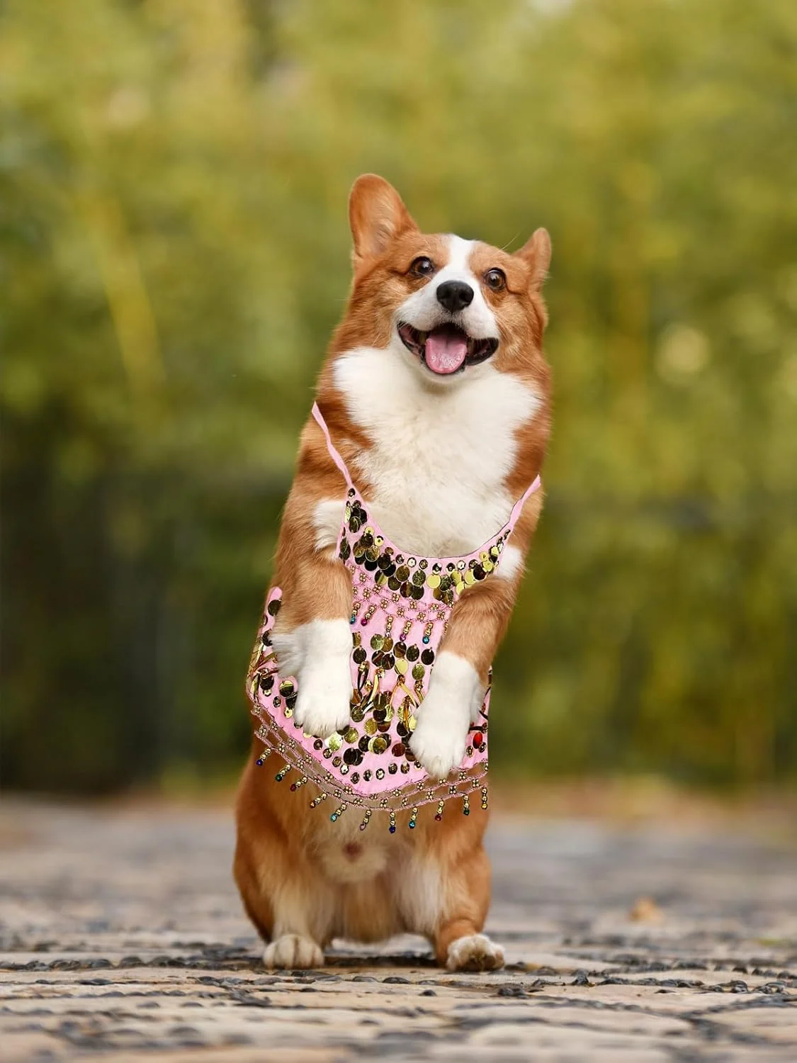 لباس سگ خانگی، پیراهن فانتزی، لباس توله سگ با زنگوله کوچک، مناسب سگ های کوچک، لباس تنفسی تولد، صورتی