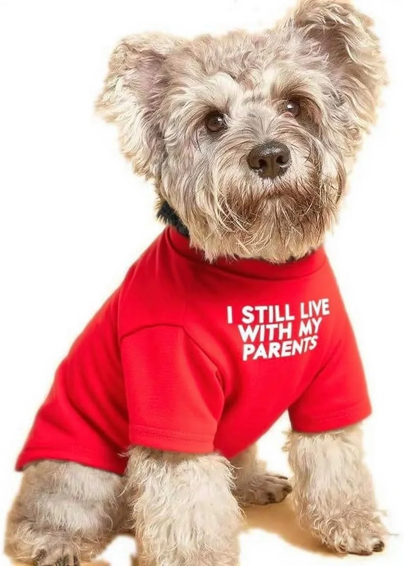 لباس سگ بامزه، تیشرت سگ برای سگ های متوسط، سگ های کوچک دختر پسر، توله سگ. لباس نرم و تنفسی سگ، حیوانات خانگی گربه، ژاکت پلیور حیوانات خانگی، لباس گربه (XL)، قرمز
