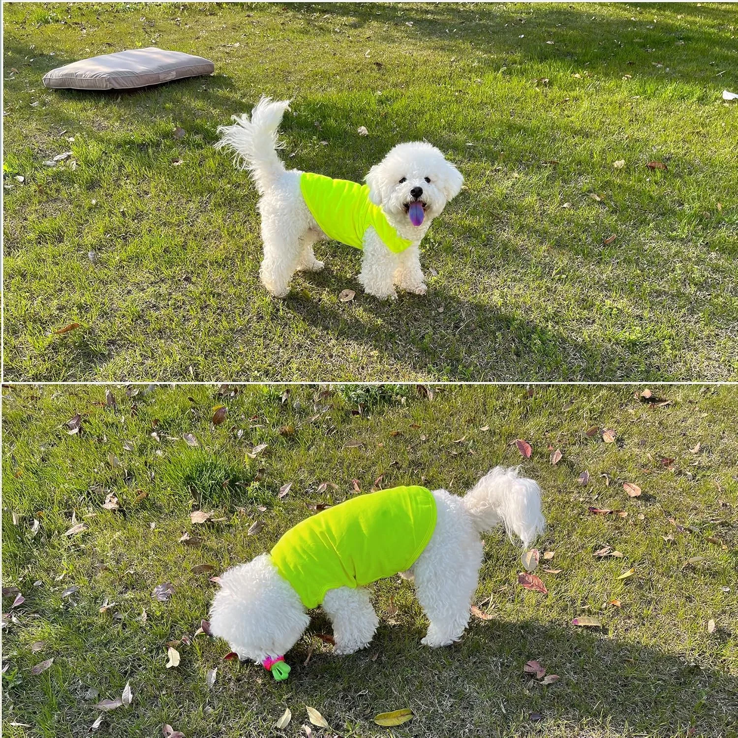 جلیقه لباس سگ برای حیوانات خانگی کوچک، پیراهن سگ نرم و تنفسی مناسب برای تابستان، سبز، بزرگ