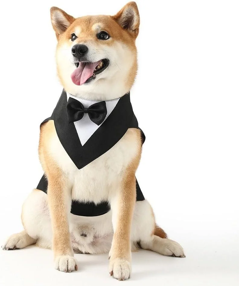 لباس سگ، کت و شلوار رسمی حیوانات خانگی با پاپیون برای تولد توله سگ