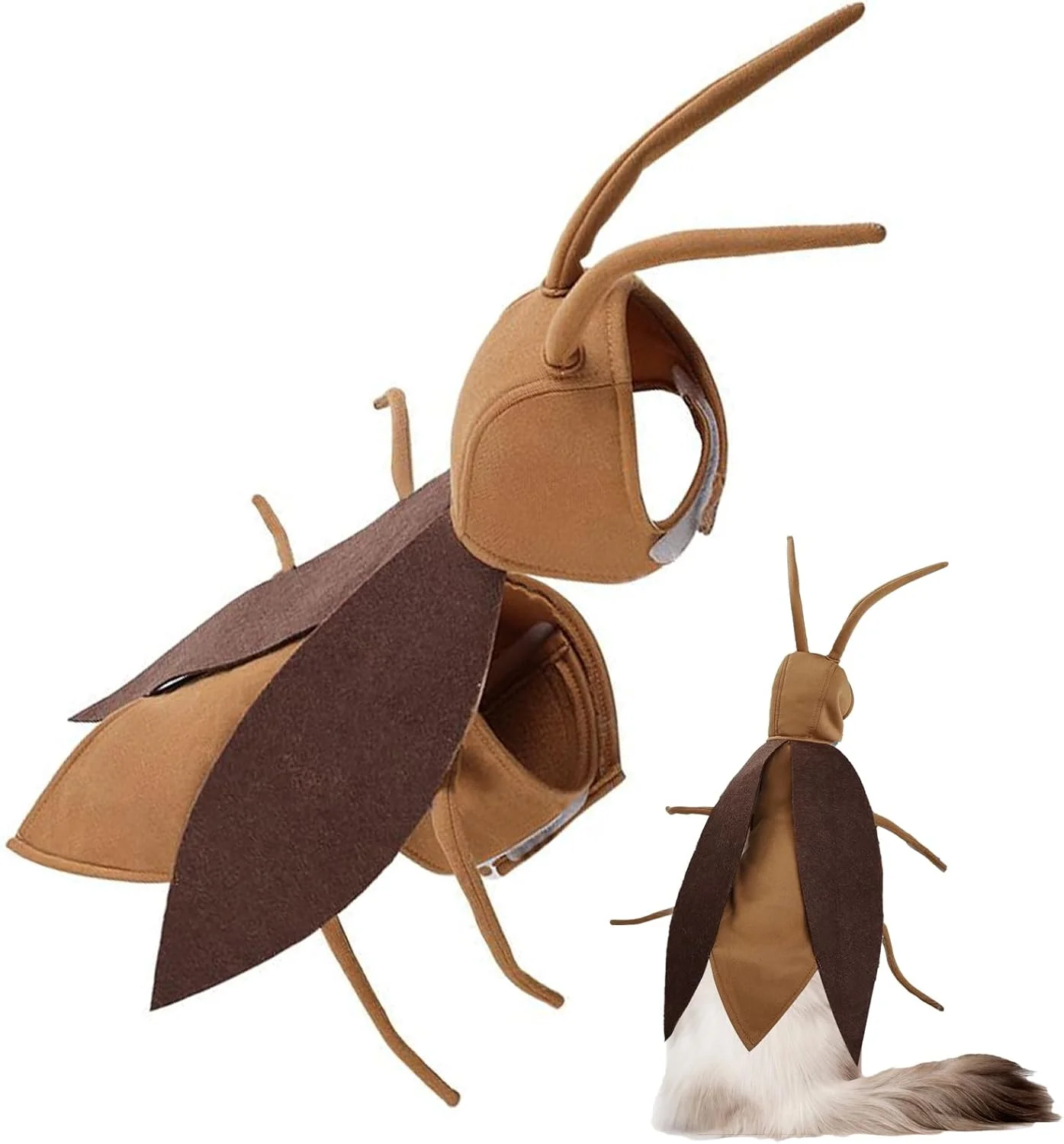 لباس سوسک برای گربه ها | ست شنل بامزه بچه گربه | لوازم جانبی لباس تنفسی واقعی برای لباس مهمانی تعطیلات سگ بچه گربه