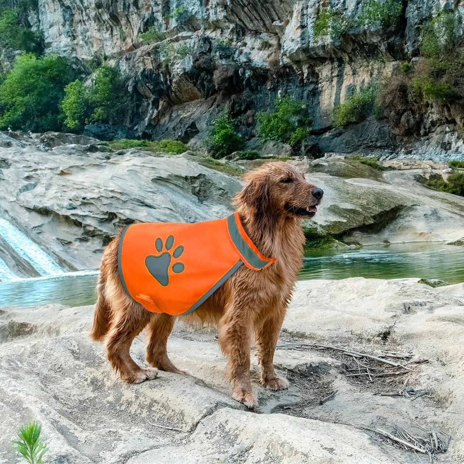 لباس سگ جلیقه بازتابنده، جلیقه فلورسنت ایمنی در فضای باز برای سگ - لباس شب سگ با دید بالا جلیقه امنیتی حیوانات خانگی دنده قابل مشاهده برای پیاده روی، ماجراجویی