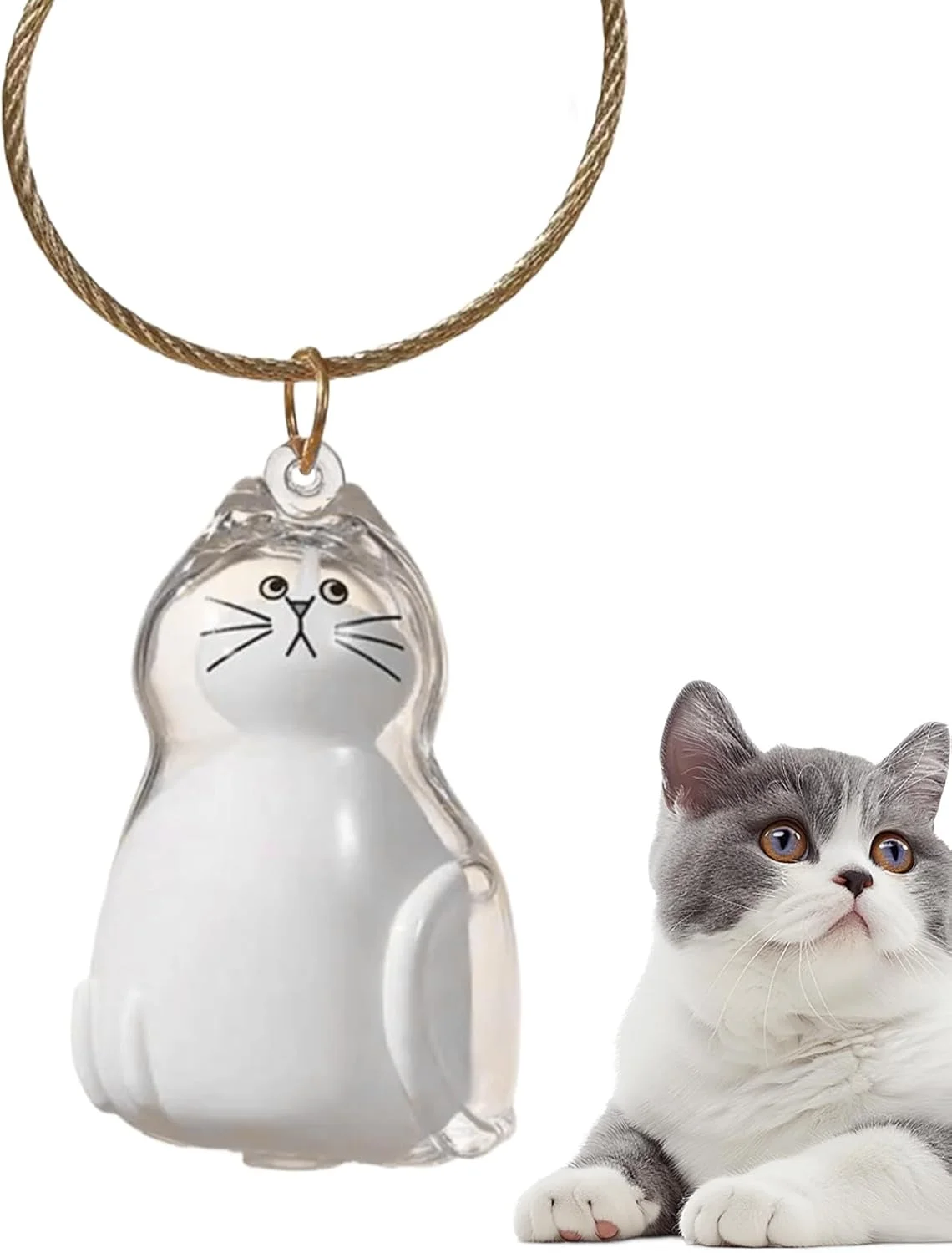 جاکلیدی بطری نگهداری موی گربه و سگ، جعبه شفاف نگهداری موی گربه برای آویز، لوازم جانبی جواهرات یادگاری، یادبود ماندگار قابل حمل، آویز اسباب بازی