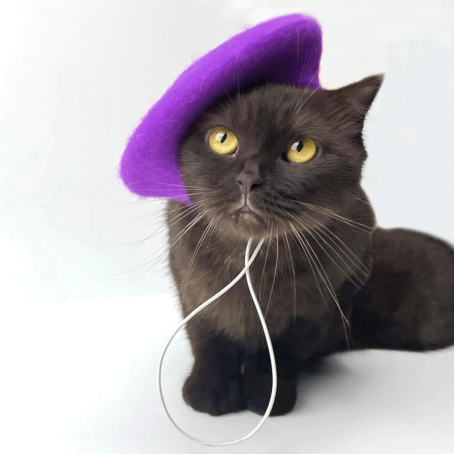 کلاه بره سگ برای سگ های کوچک، گربه، عروسک، کلاه مینی پشمی رنگارنگ، لوازم جانبی خلاقانه، کلاه سر حیوانات خانگی، کلاه هنرمند قارچی فرانسوی، کلاه بافتنی، لوازم جانبی موی یکدست، دکور، لوازم عکس کریسمس - بنفش