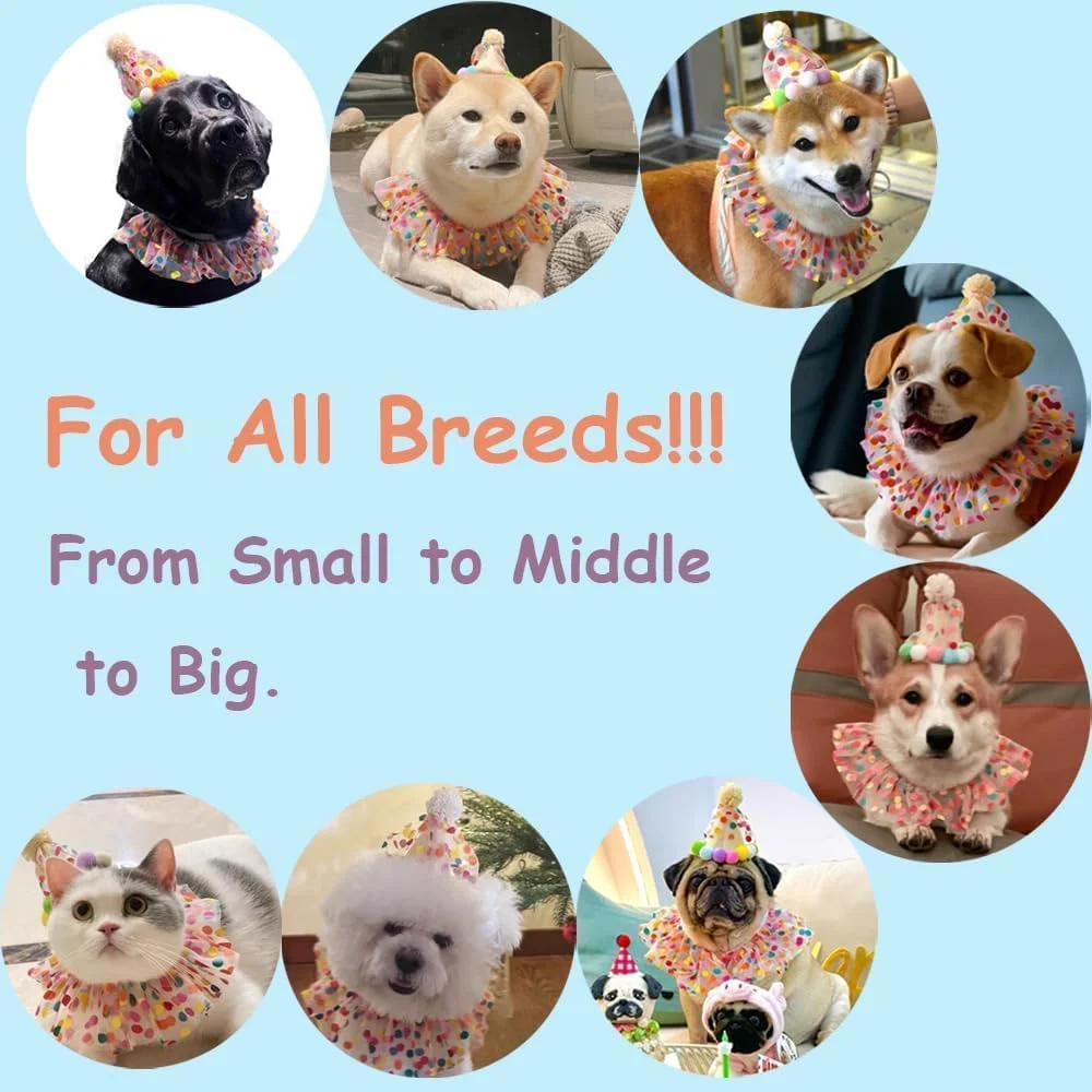 ست کلاه تولد رنگین کمانی و دستمال گردن برای سگ و گربه - قابل تنظیم، لوازم مهمانی حیوانات خانگی دوست داشتنی با اعداد، مناسب برای همه نژادها، لباس زیبا برای بچه گربه، سگ توله سگ