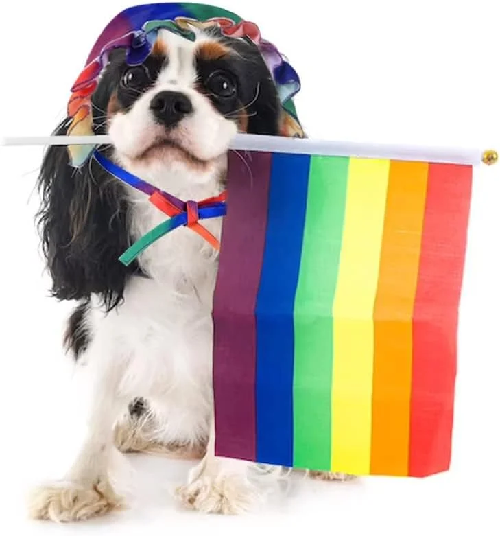 کلاه آفتابگیر سگ، کلاه دوش تابستانی رنگارنگ ضد آفتاب، کلاه آفتابی سگ کلاه لبه دار حیوانات خانگی، لوازم جانبی برای گربه ها سگ ها حیوانات خانگی کوچک لباس روزانه