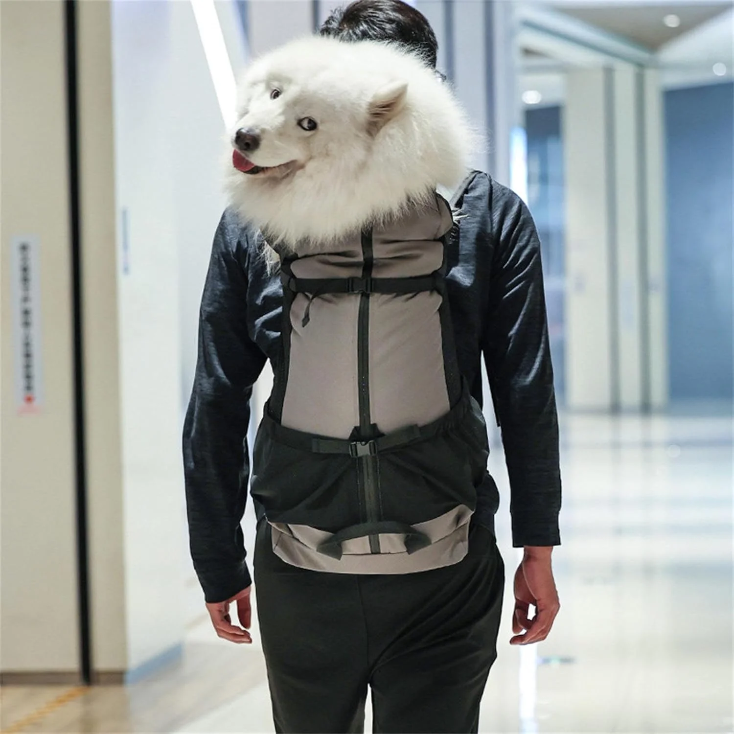 کوله پشتی راحت حیوانات خانگی با بندهای تنفسی و نوارهای بازتابنده برای پیاده روی و پیک نیک