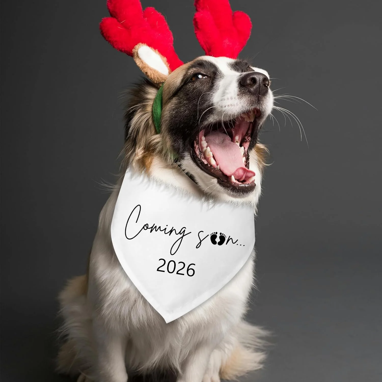 به زودی 2026 دستمال گردن سگ، اعلام بارداری سگ، دستمال گردن مخصوص سگ برای اعلام جنسیت، شال گردن حیوانات خانگی برای سگ های کوچک و متوسط و گربه 2026