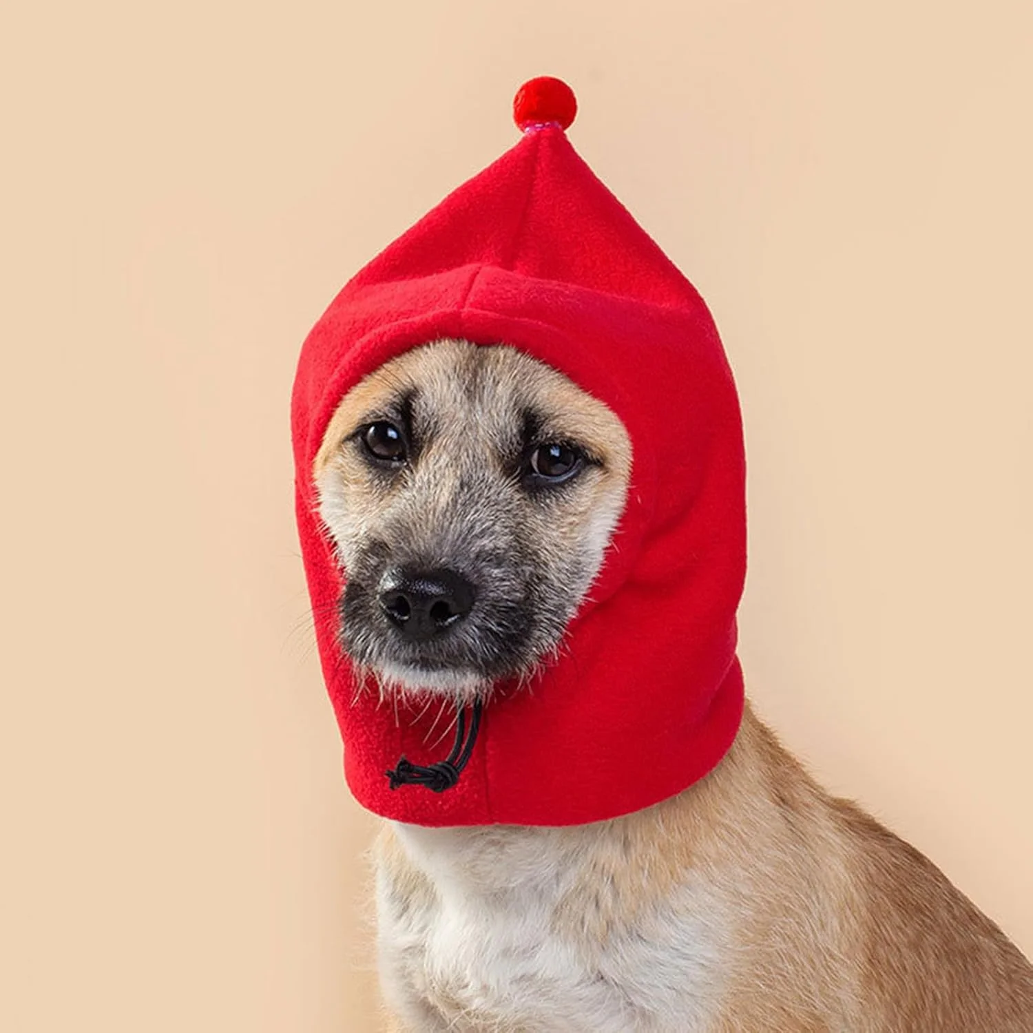 کلاه اسنود سگ، محافظت راحت گوش برای سگ ها، کلاه زمستانی گرم برای فعالیت های خارج از منزل