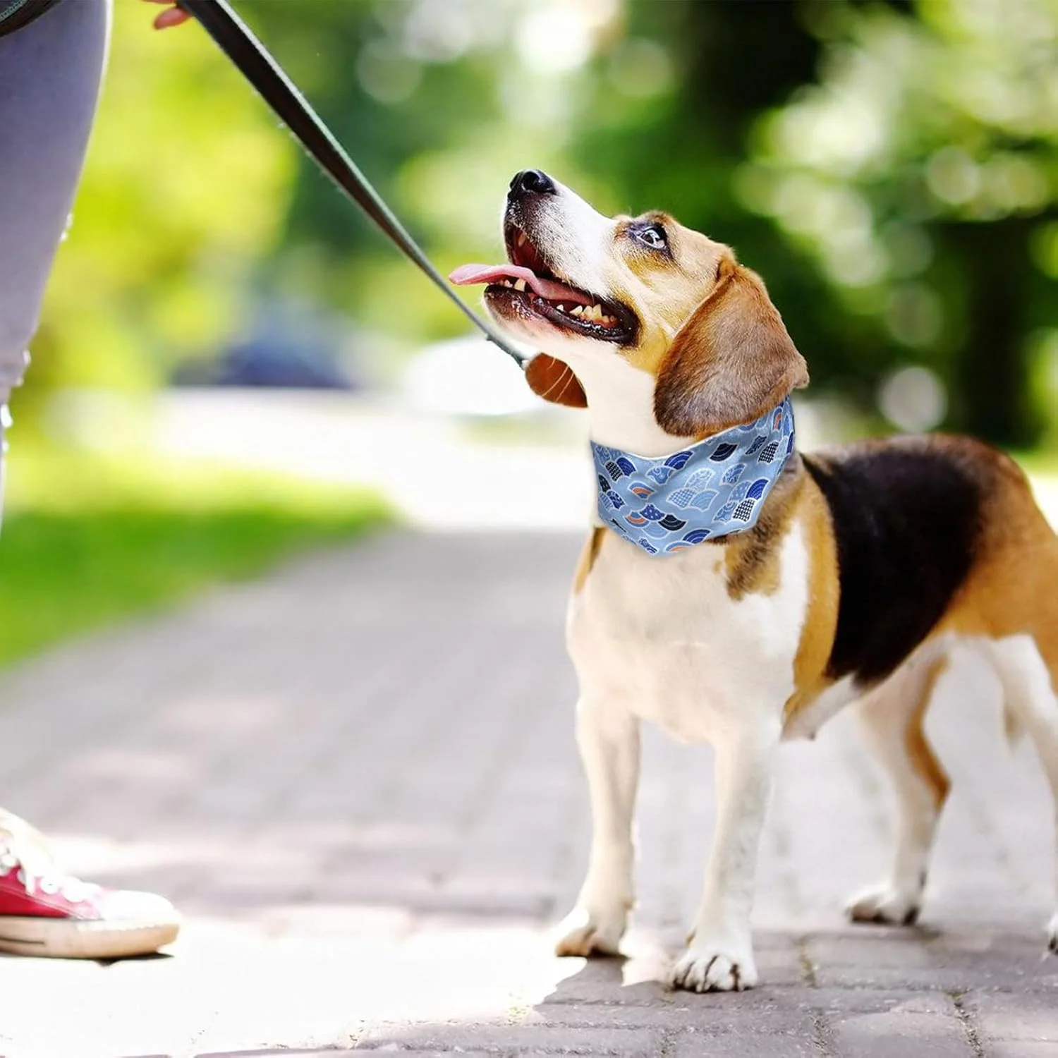 دستمال گردن خنک کننده سگ، شال گردن حیوانات خانگی با طرح زیبا - قلاده حیوانات خانگی برای سگ ها و گربه های کوچک، شال گردن پخش کننده گرما برای روزهای گرم