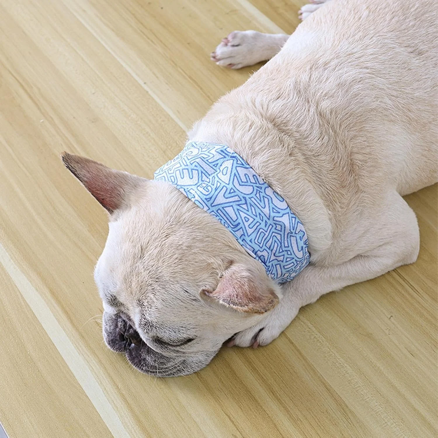 دستمال گردن خنک کننده سگ، خنک کننده گردن یخی سگ، دستمال نرم خنک کننده گردن حیوانات خانگی برای پیاده روی در حومه شهر، پیاده روی در شهر و کمپینگ