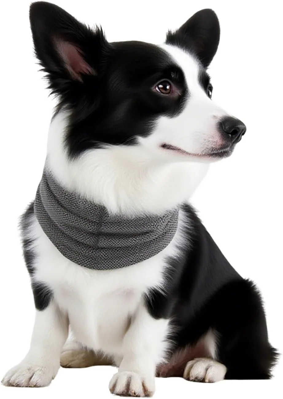 یقه خنک کننده سگ - دستمال گردن خنک کننده قابل استفاده مجدد برای تسکین هوای گرم، روسری حیوانات خانگی تابستانی سبک و قابل تنفس (L)