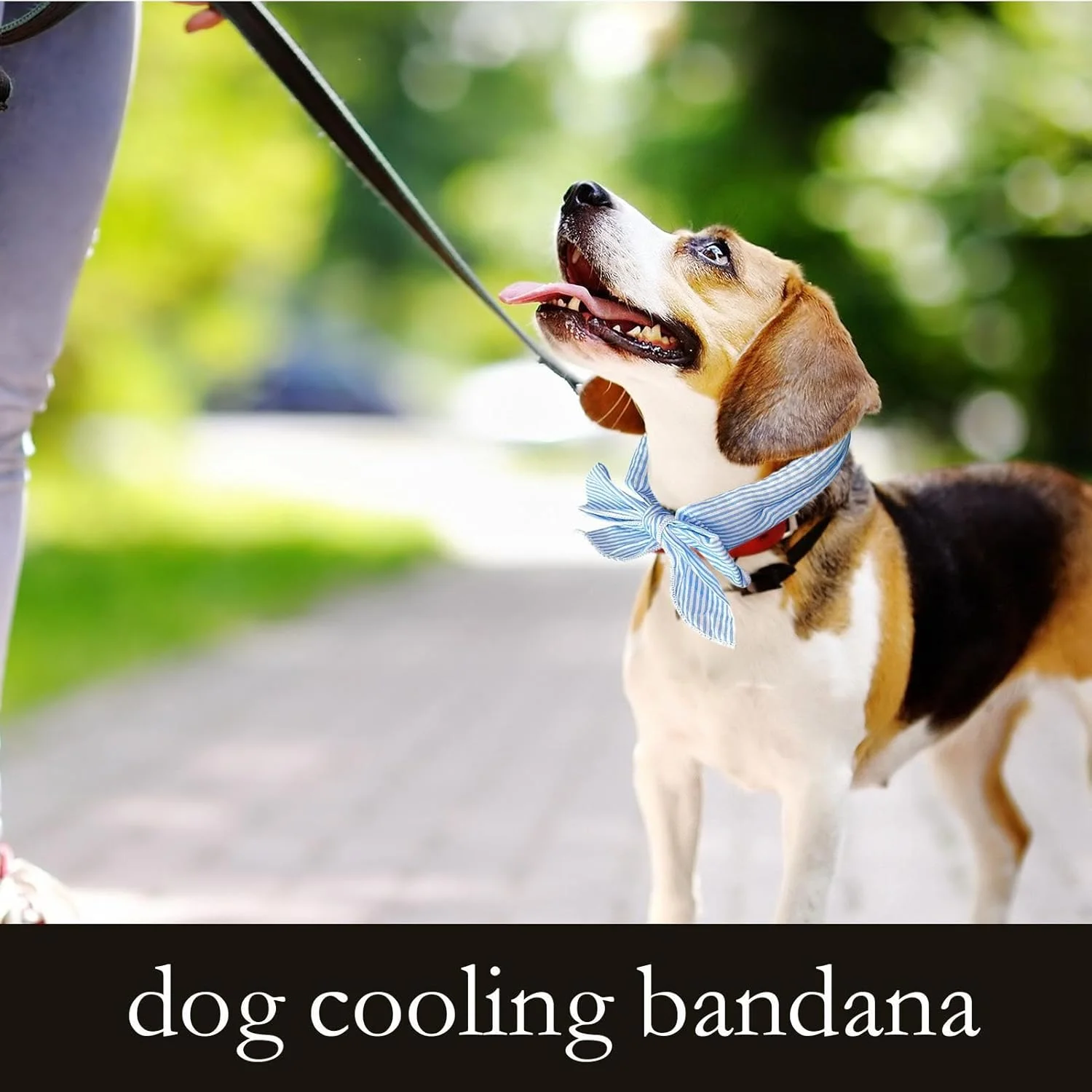 دستمال گردن خنک کننده سگ - دستمال سر یخی نرم و تنفسی گربه - دفع فوری گرما، لوازم حیوانات خانگی راحت برای توله سگ ها و بچه گربه ها در تمرینات فضای باز