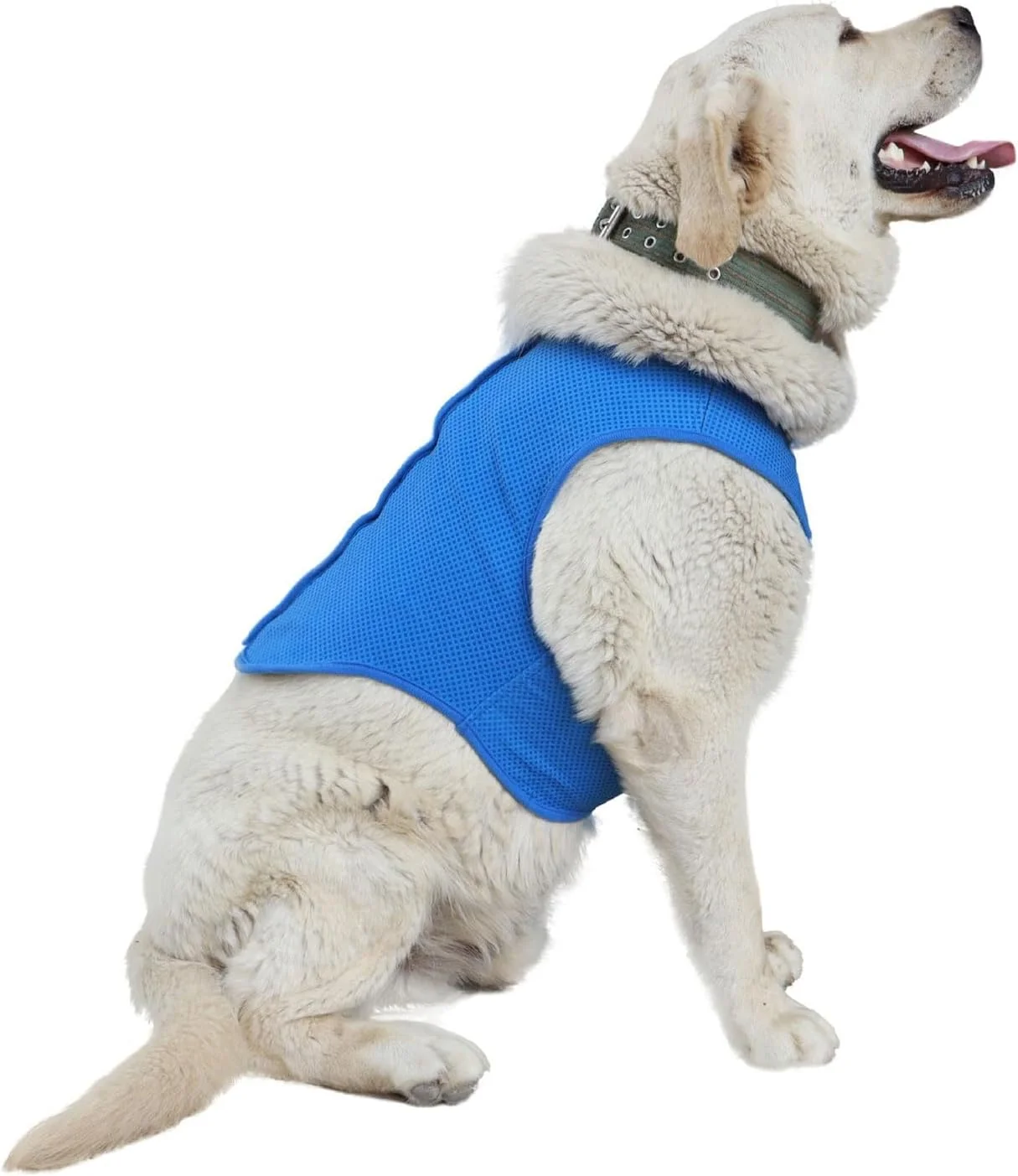 پیراهن خنک کننده سگ، طراحی یقه هفت، پارچه تنفسی برای فعالیت های فعال حیوانات خانگی در فضای باز، پیاده روی در ساحل، رنگ و سایز بزرگ
