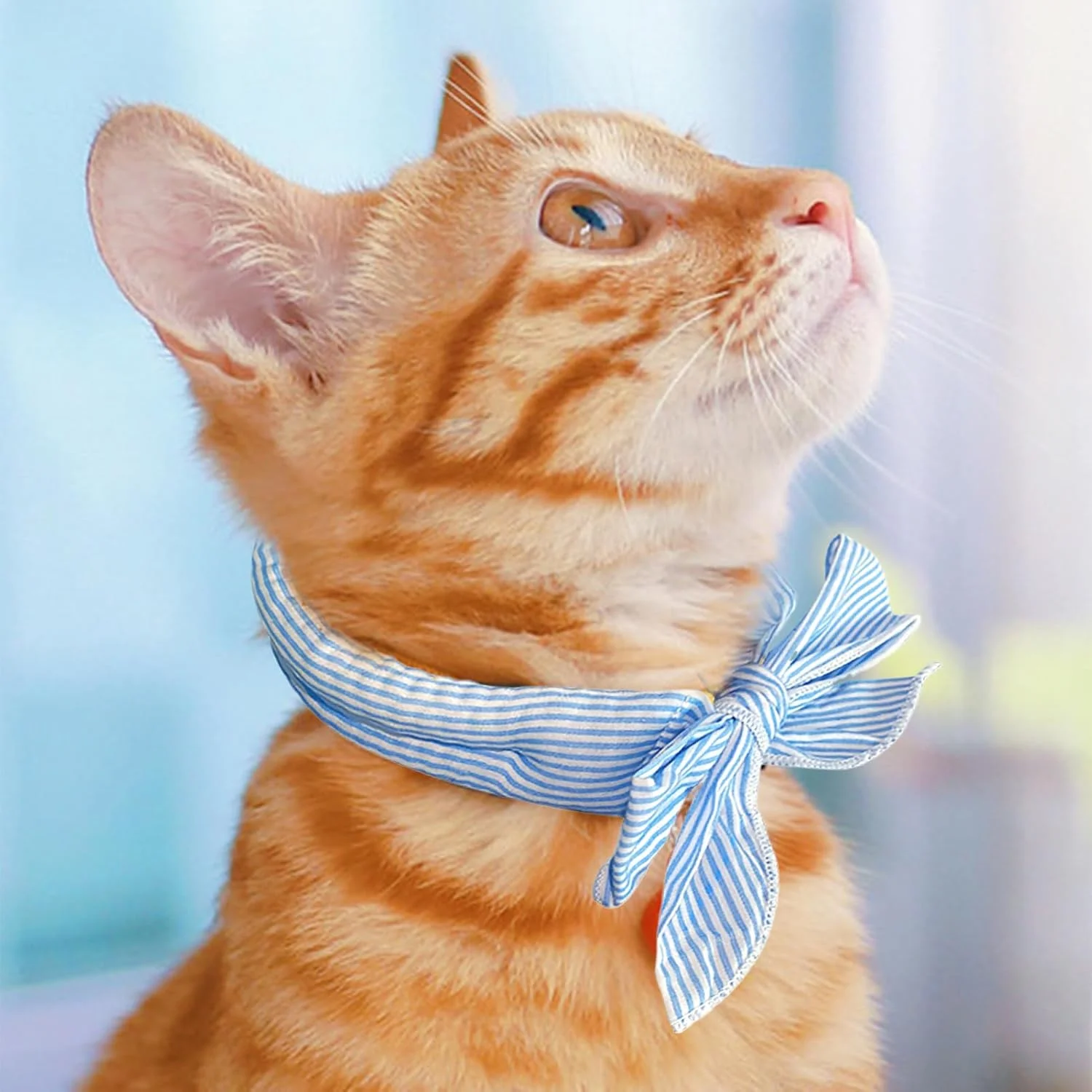 دستمال گردن خنک کننده سگ راه راه، دفع فوری گرما، لوازم حیوانات خانگی راحت برای توله سگ ها و بچه گربه ها، مناسب تمرین در فضای باز