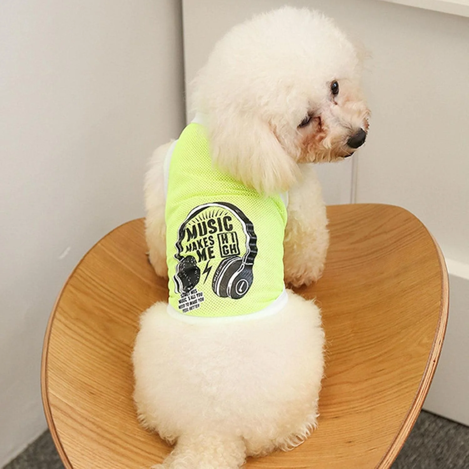 جلیقه خنک کننده سگ، پیراهن خنک کننده توری سگ، جلیقه خنک کننده حیوانات خانگی برای سگ ها | ژاکت خنک کننده تابستانی سگ برای تمرین پیاده روی، مناسب برای سگ های کوچک، متوسط و بزرگ