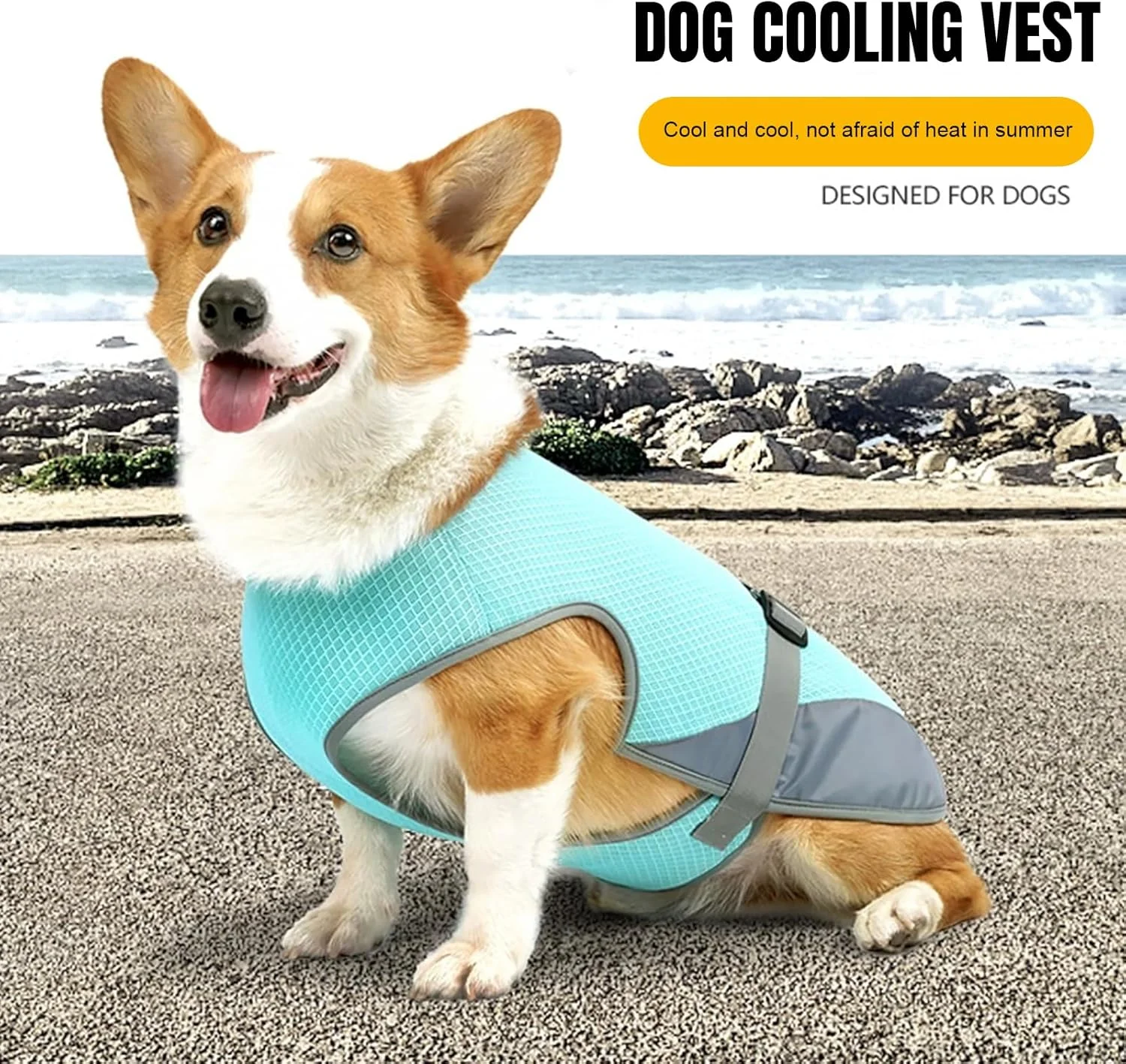 جلیقه خنک کننده سگ برای تابستان، پیراهن خنک کننده سبک وزن برای سگ های کوچک و متوسط، ژاکت خنک سگ با بندهای قابل تنظیم، جلیقه یخی توری تنفسی برای سگ های خانگی (آبی، M)