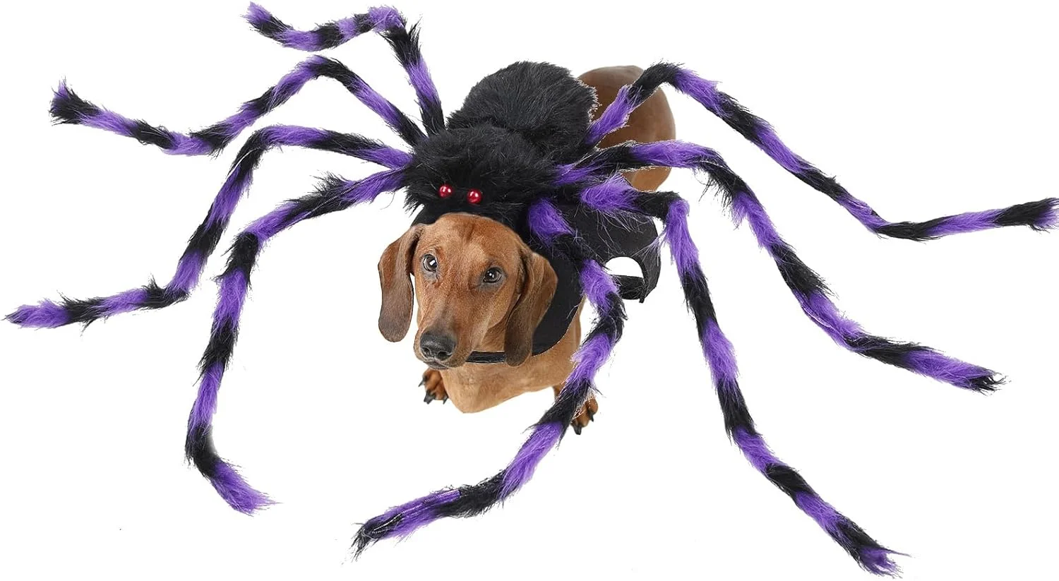 لباس عنکبوتی سگ | لباس عنکبوتی مخمل خواب دار، لباس فانتزی قابل تنظیم برای هالووین، تزئینات جشنواره