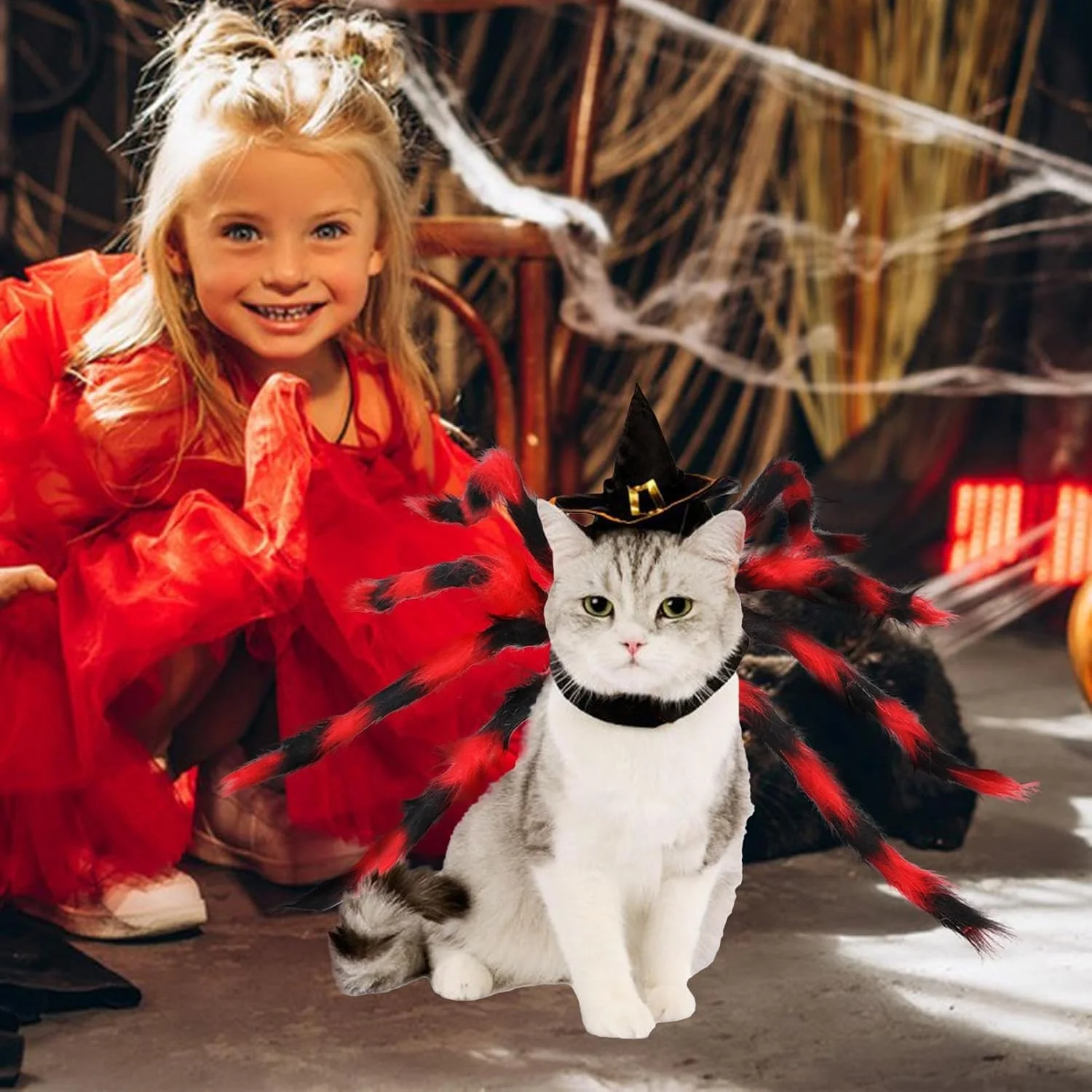 لباس عنکبوتی سگ، پوشاک خلاقانه حیوانات خانگی، لباس سگ، لباس هالووین گربه برای سگ ها و گربه های کوچک، تزئینات جشنواره