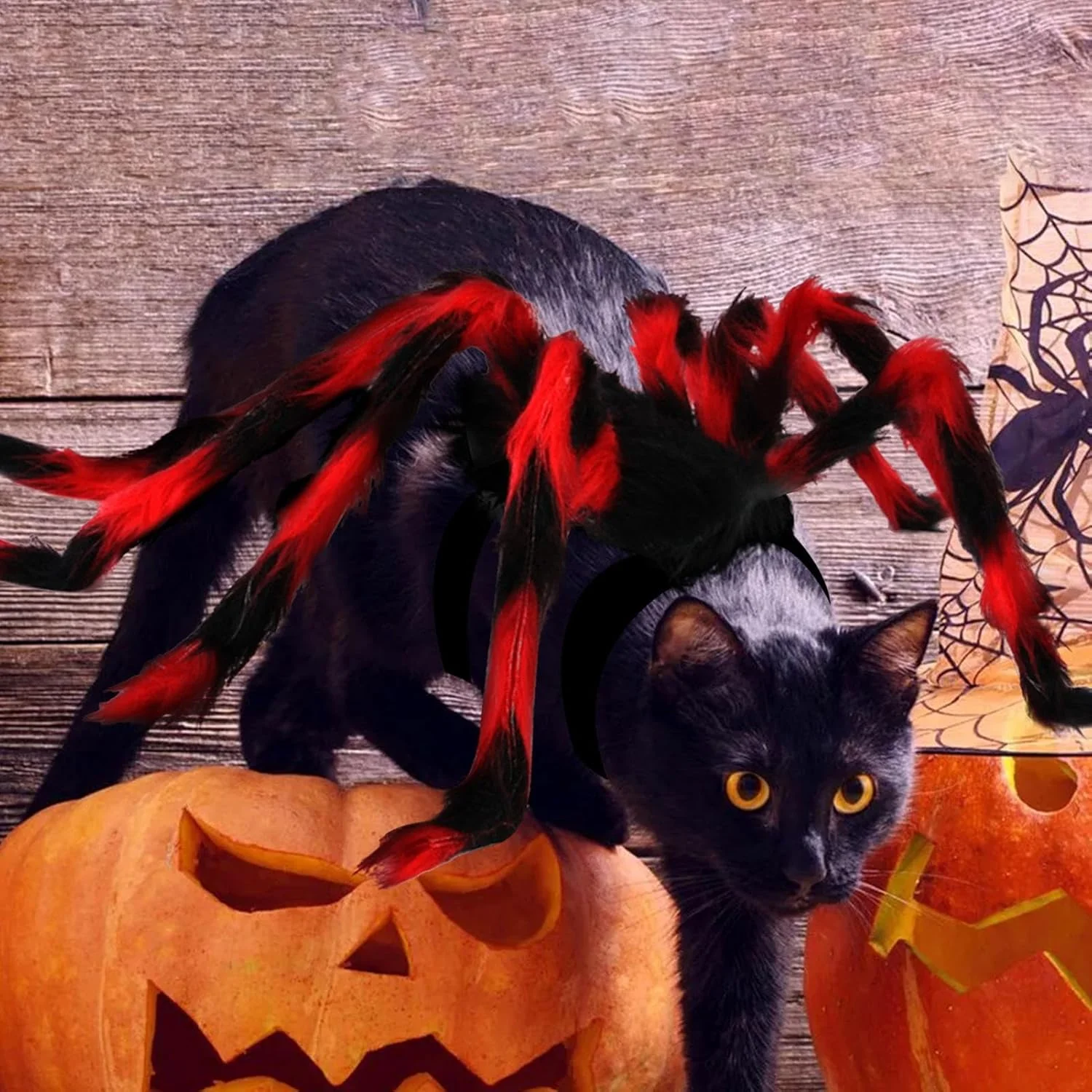 لباس عنکبوتی سگ، پوشاک خلاقانه حیوانات خانگی، لباس سگ، لباس هالووین گربه برای سگ ها و گربه های کوچک، تزئینات جشنواره