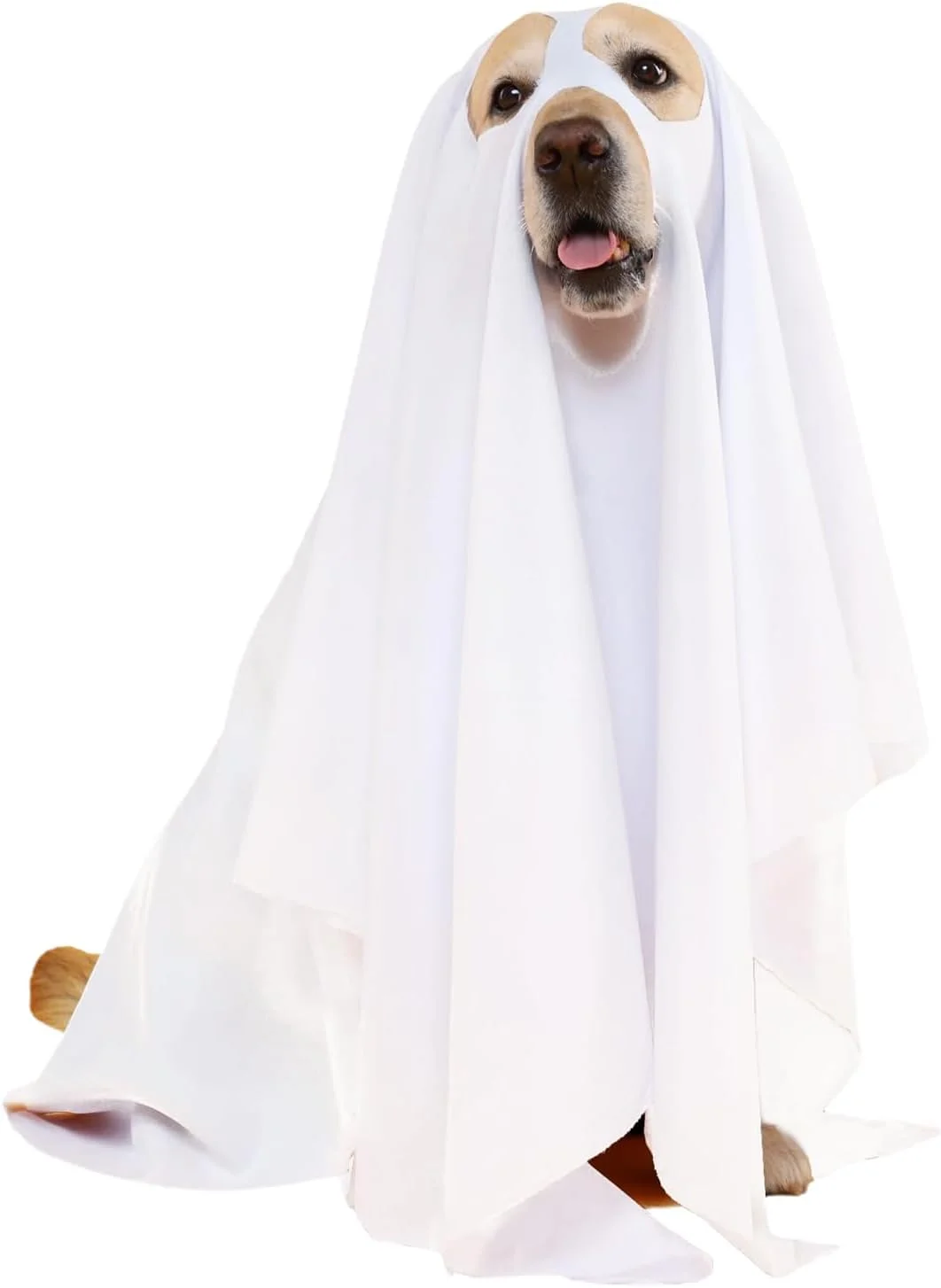 لباس شبح سگ | لباس مهمانی هالووین برای سگ | لباس مهمانی شبح وار برای توله سگ و بچه گربه، جشن های فضای باز و وسایل عکس