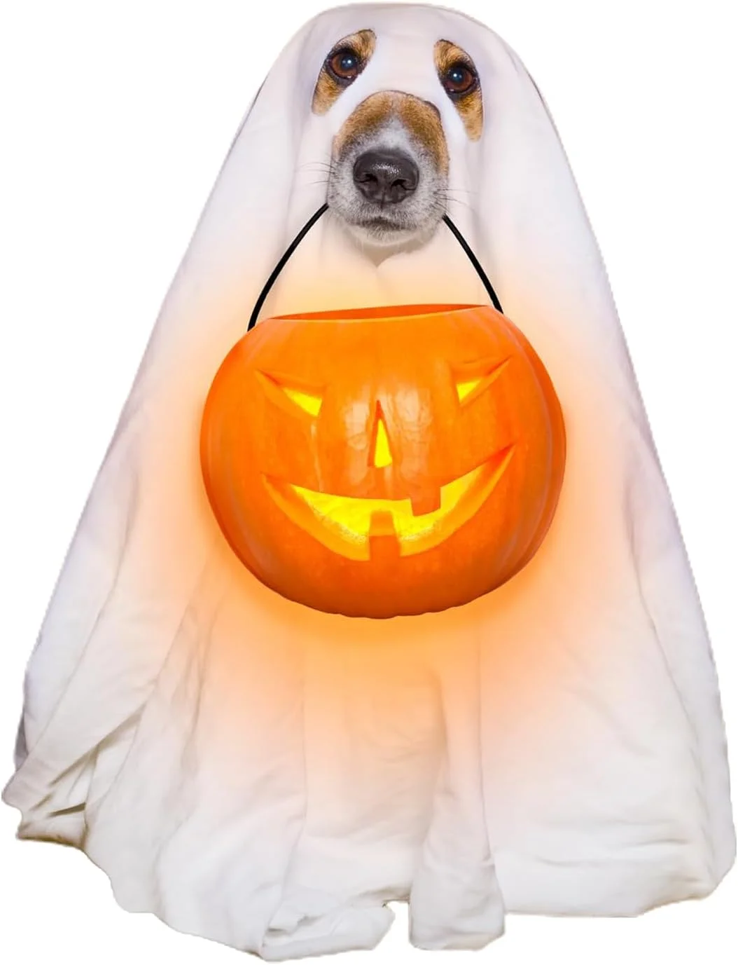 لباس شبح سگ، لباس هالووین سگ | لباس توله سگ و بچه گربه برای لباس هالووین، مناسب پیاده روی در فضای باز، مهمانی و عکاسی