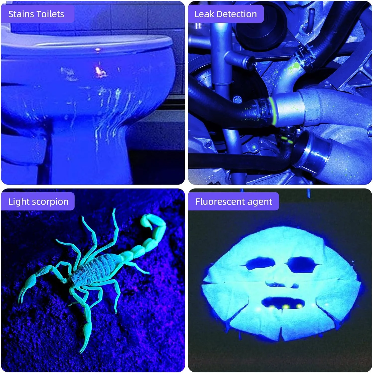 چراغ قوه فرابنفش TERRIFI 365 نانومتر - چراغ LED فرابنفش کوچک قابل حمل و قابل شارژ برای تشخیص لکه های ادرار حیوانات خانگی، مواد فلورسنت، پول و کهربا چراغ قوه فرابنفش TERRIFI 365 نانومتر - چراغ LED فرابنفش کوچک قابل حمل و قابل شارژ برای تشخیص لکه های ادرار حیوانات خانگی، مواد فلورسنت، پول و کهربا