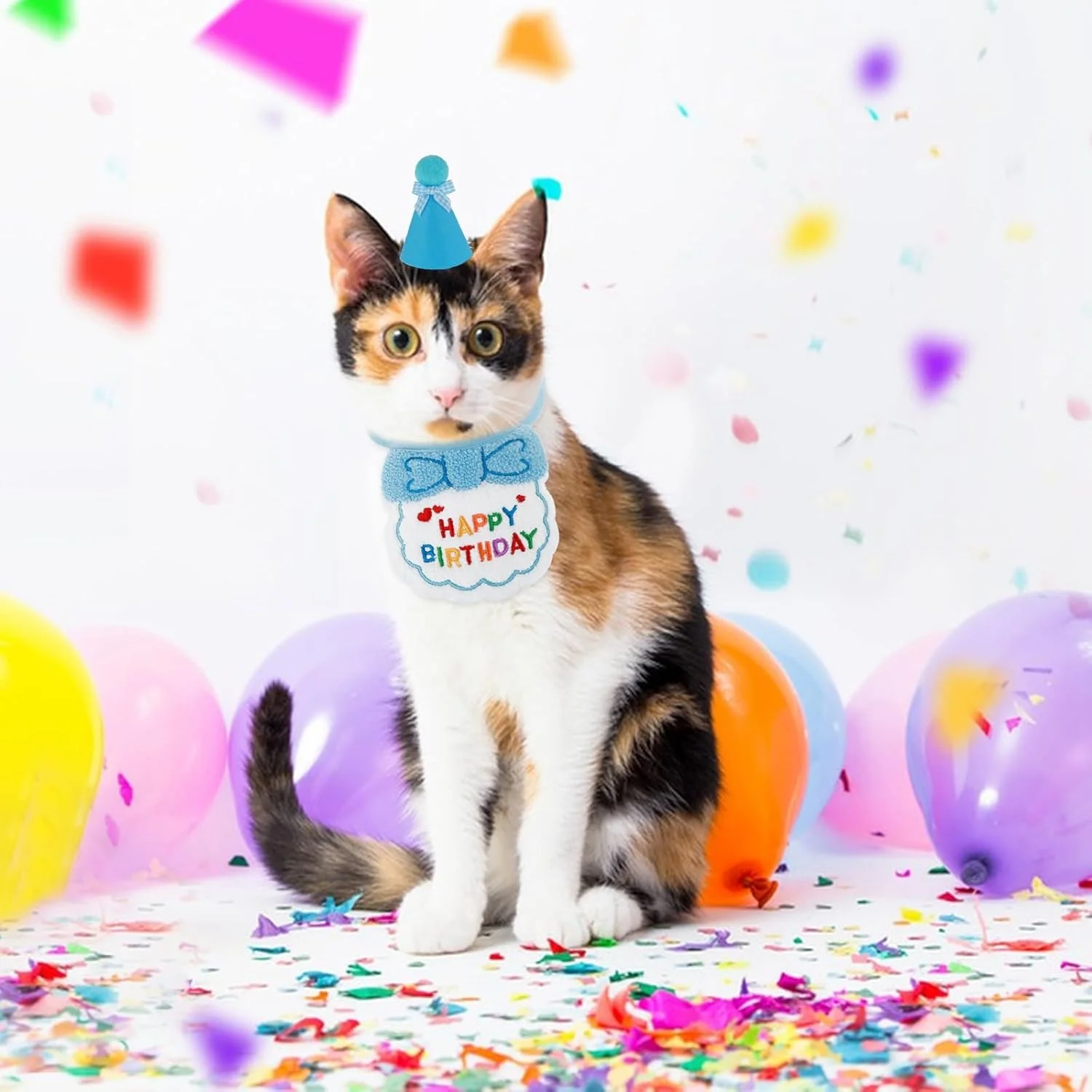 ست کلاه و شال گردن تولد حیوانات خانگی، مناسب برای سگ و گربه (آبی)، 2 تکه ست کلاه و شال گردن تولد حیوانات خانگی، مناسب برای سگ و گربه (آبی)، 2 تکه