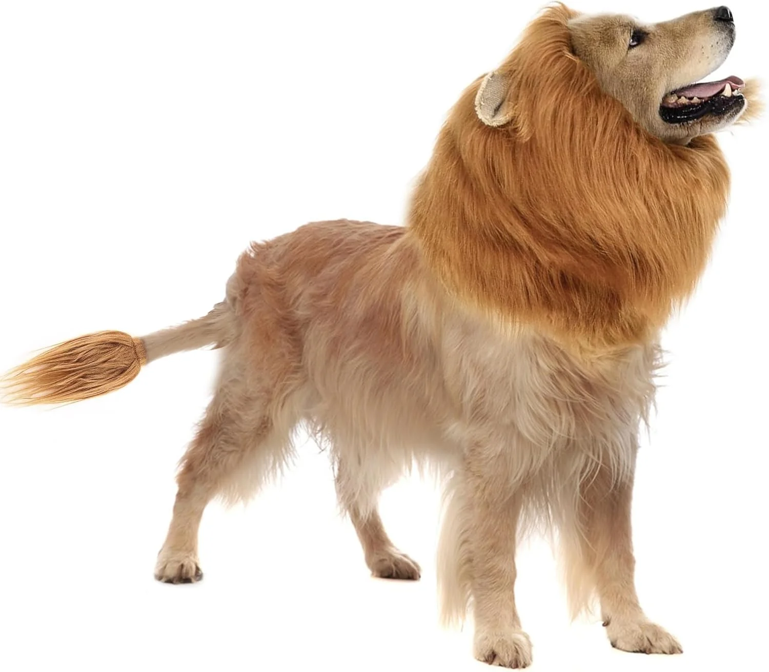 یال شیر سگ CQJ برای سگ های متوسط و بزرگ، کلاه گیس شیر واقعی، مکمل لباس سگ برای سرگرمی عکاسی (قهوه ای روشن، L)