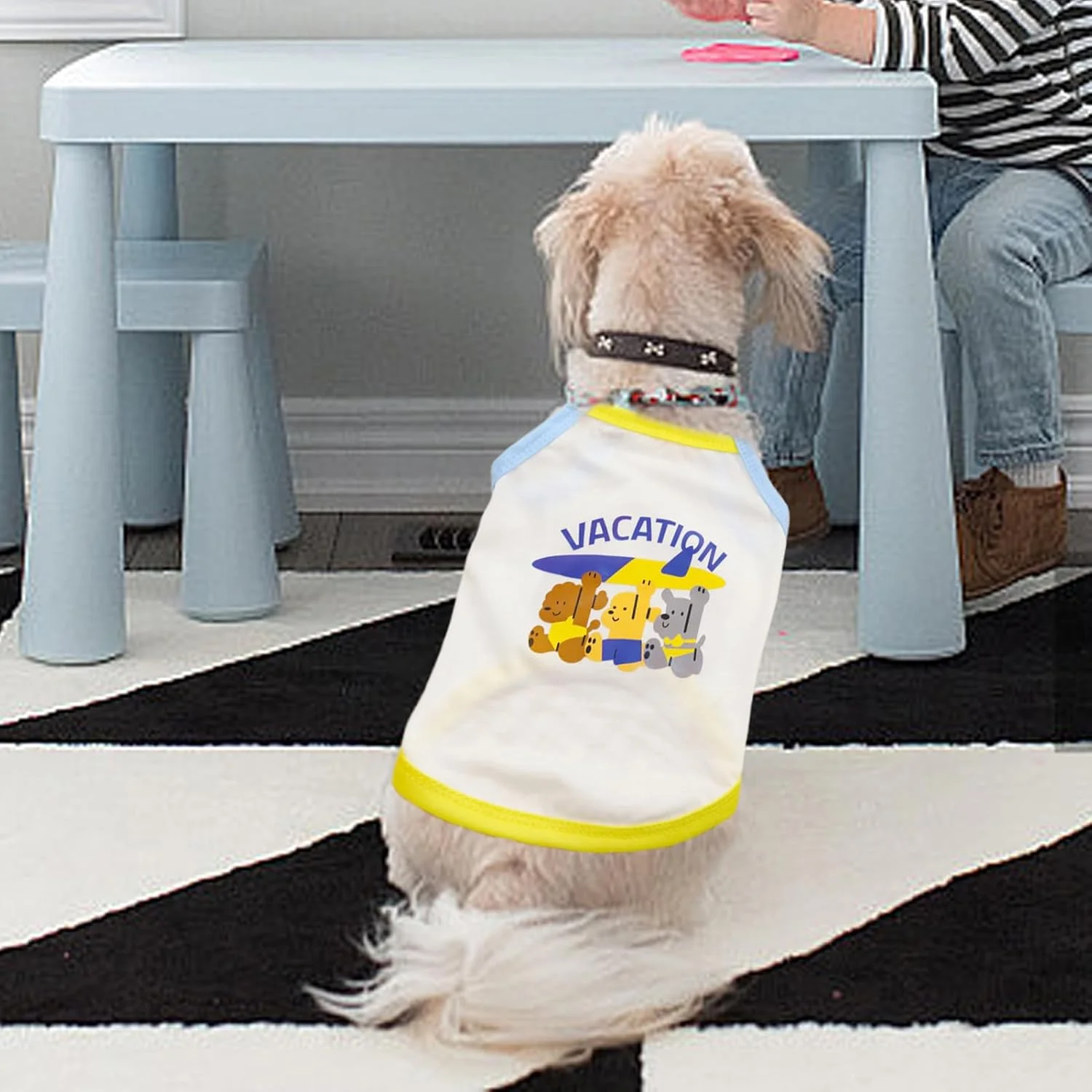 لباس سگ بامزه | لباس دخترانه سگ - کت شیک بدون آستین، سبک وزن، تنفس پذیر و راحت برای کمپینگ، ساحل، پیاده روی و آموزش لباس سگ بامزه | لباس دخترانه سگ - کت شیک بدون آستین، سبک وزن، تنفس پذیر و راحت برای کمپینگ، ساحل، پیاده روی و آموزش