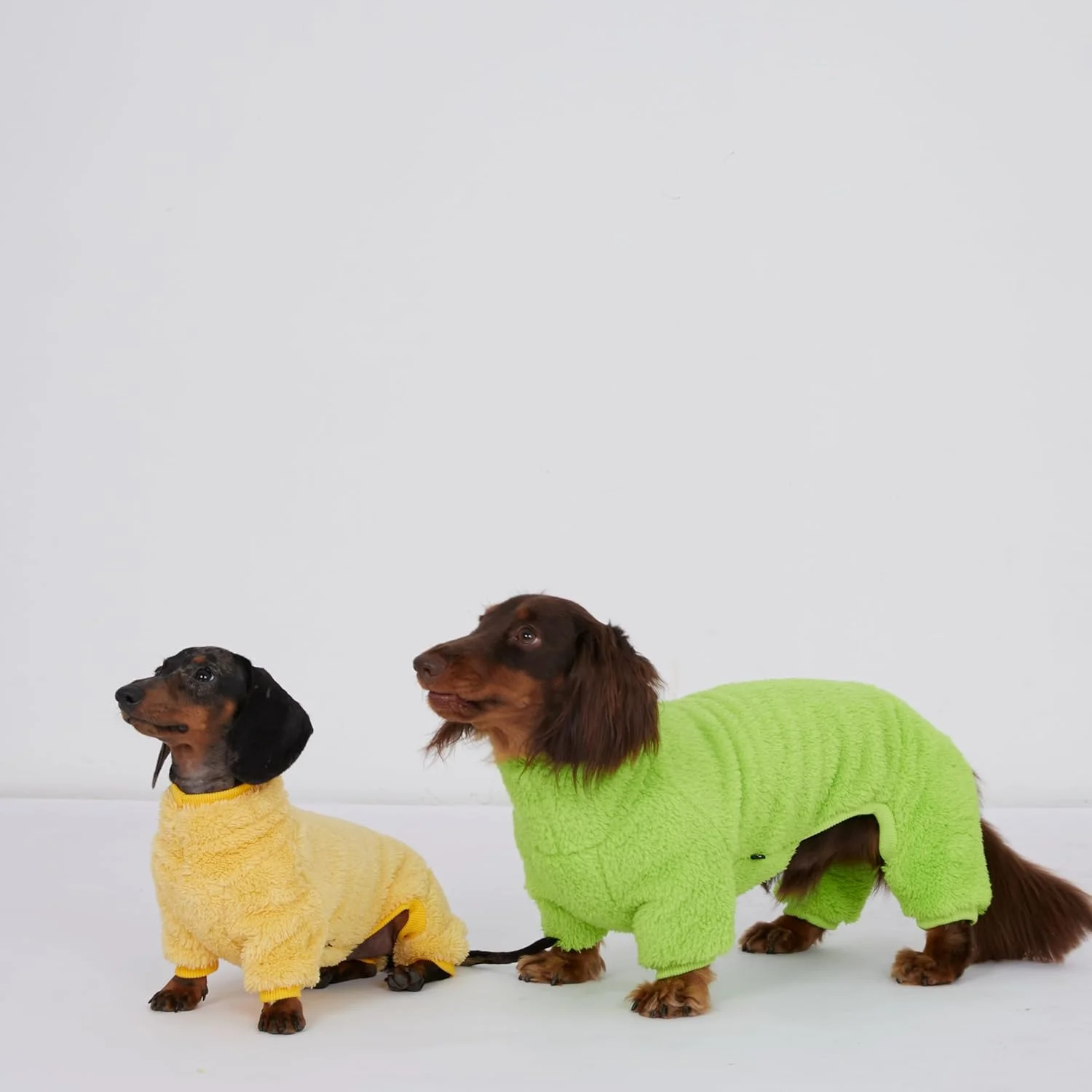 جامپسوت پشمی یقه اسکی مناسب برای سگهای داشهوند، لباس خواب زمستانی نرم و راحت (سبز روشن، XL) جامپسوت پشمی یقه اسکی مناسب برای سگهای داشهوند، لباس خواب زمستانی نرم و راحت (سبز روشن، XL)